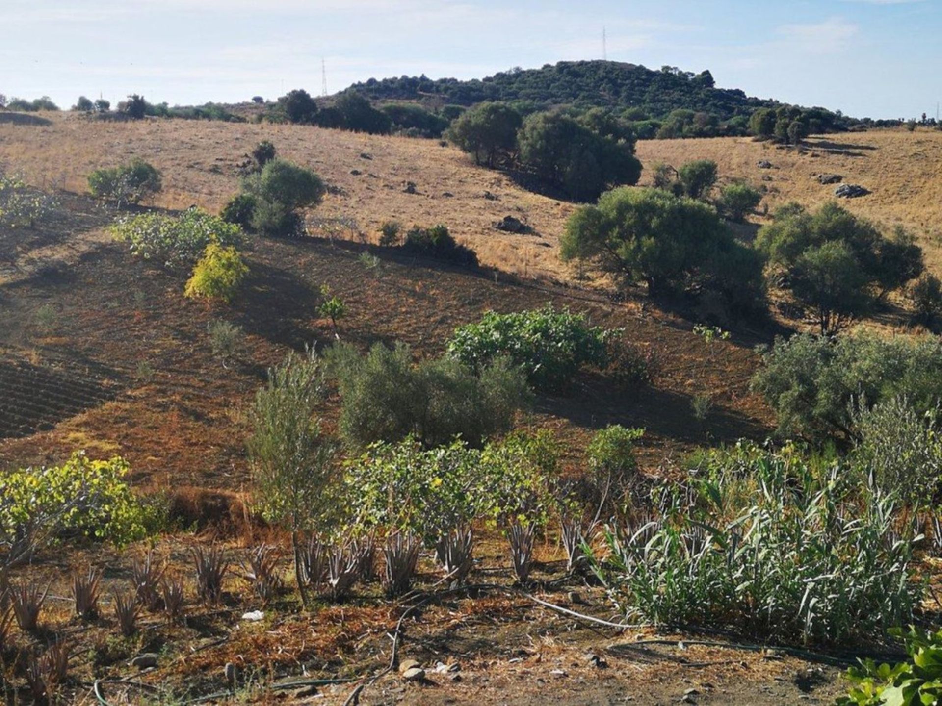 집 에 Viñuela, Andalucía 10719254