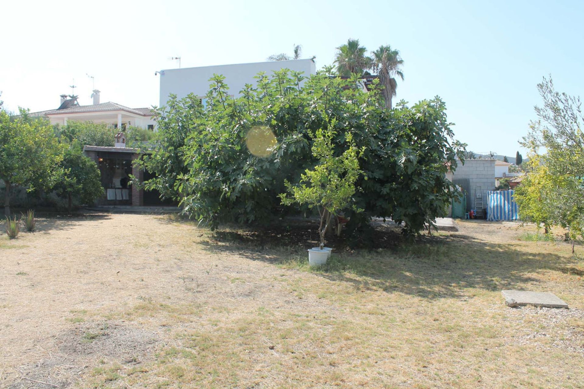 Land in Alhaurin de la Torre, Andalusië 10719266