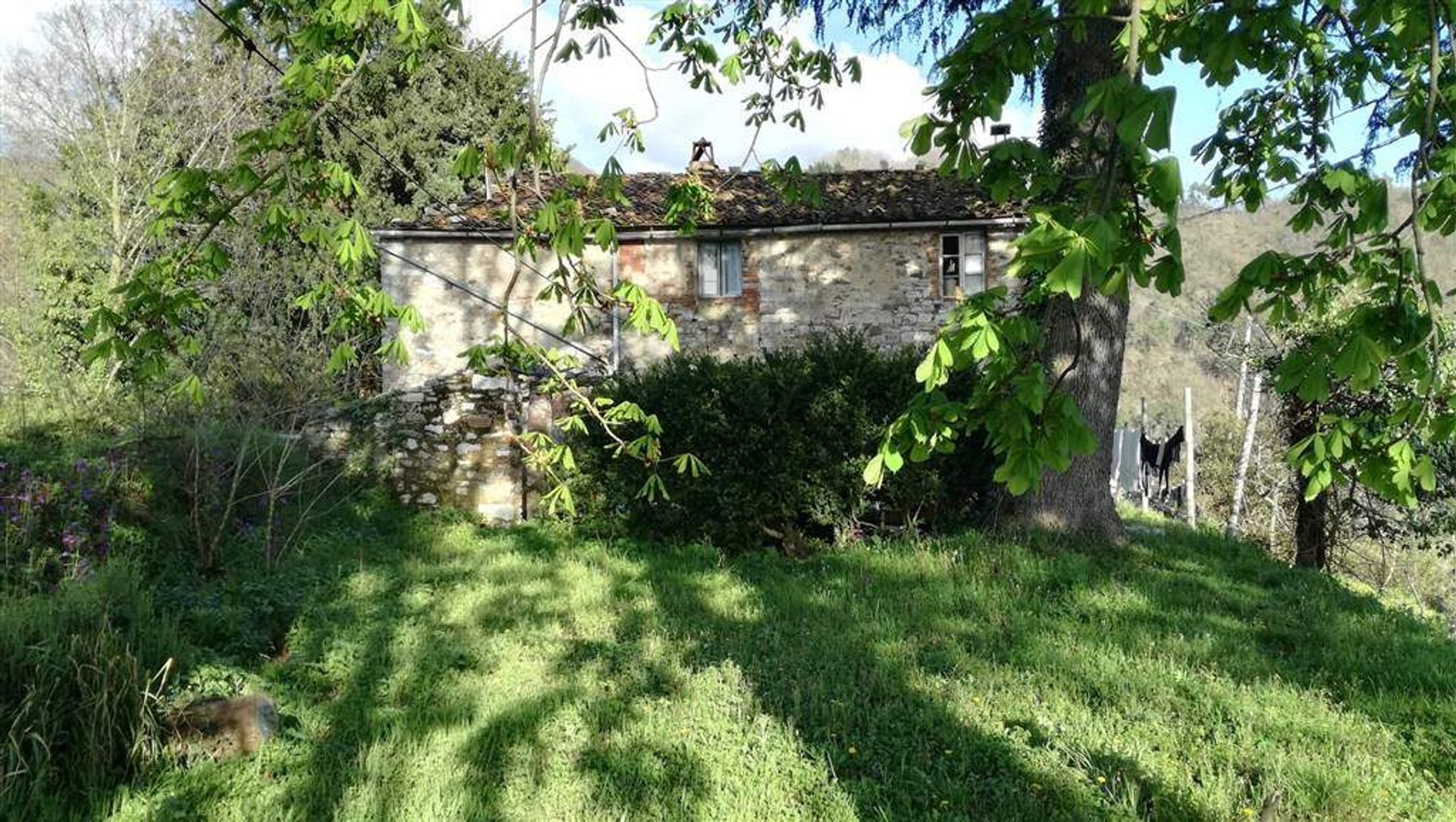 House in Saltocchio, Tuscany 10719283