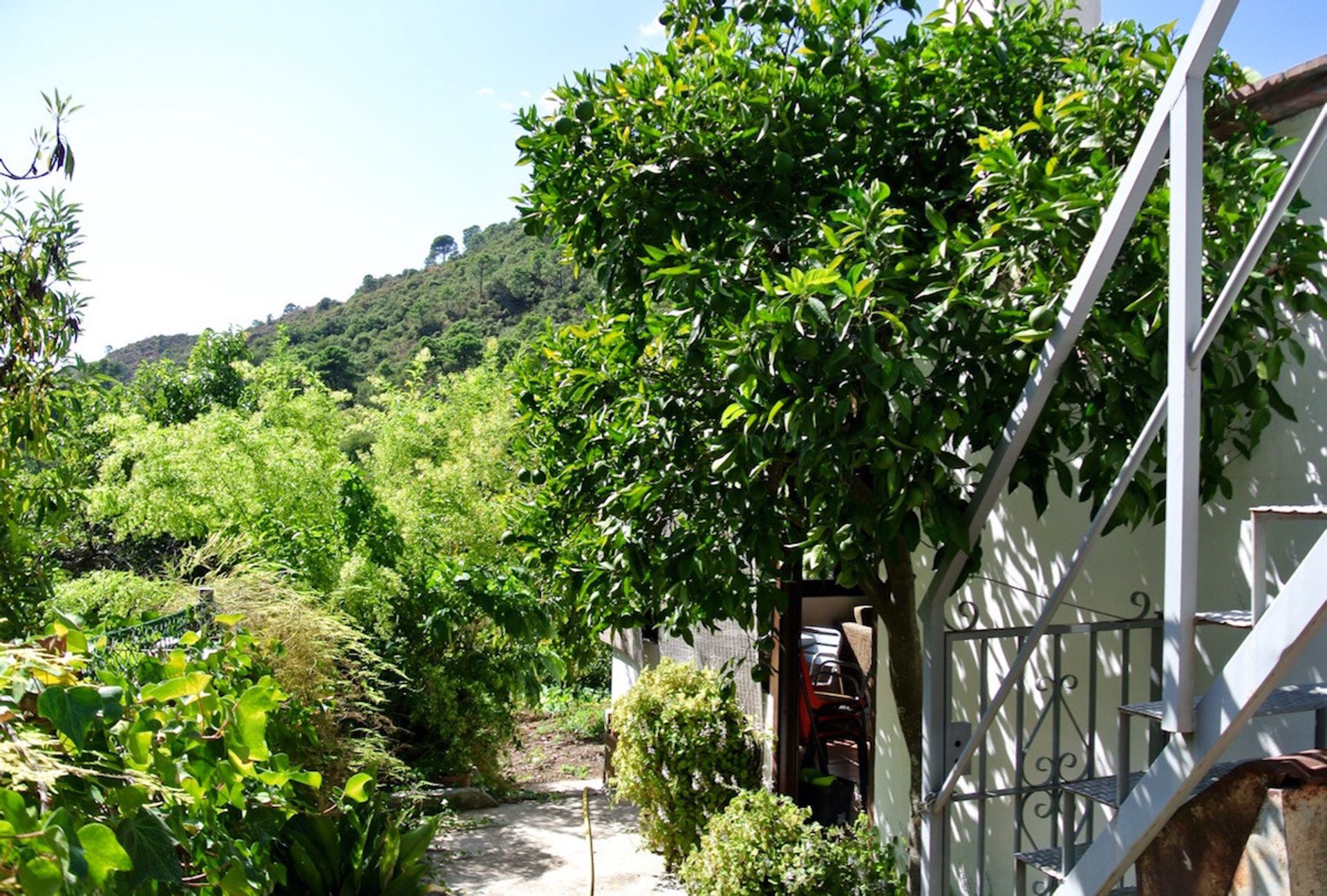 casa no Istão, Andaluzia 10719467