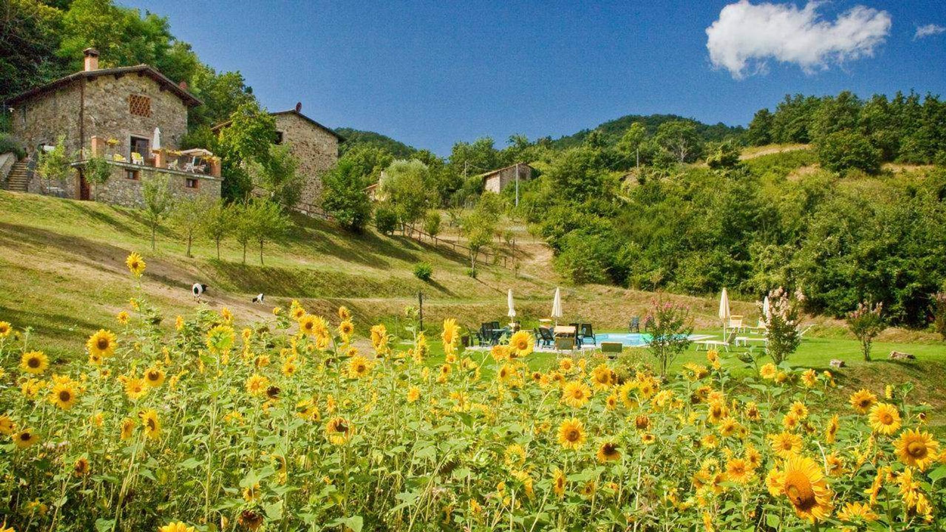 Будинок в Пьяцца аль Серчіо, Тоскана 10719474