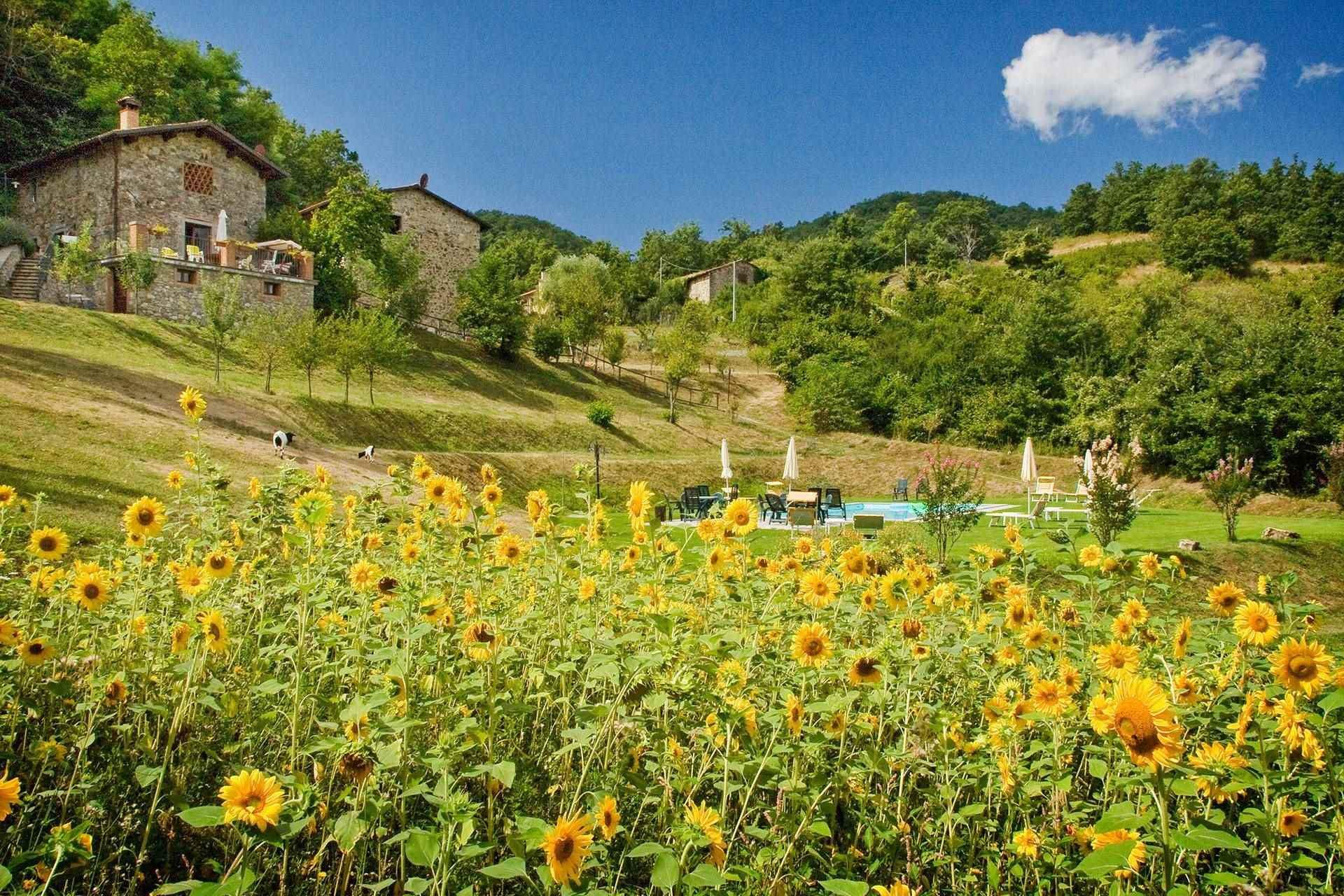 жилой дом в San Michele, Toscana 10719474