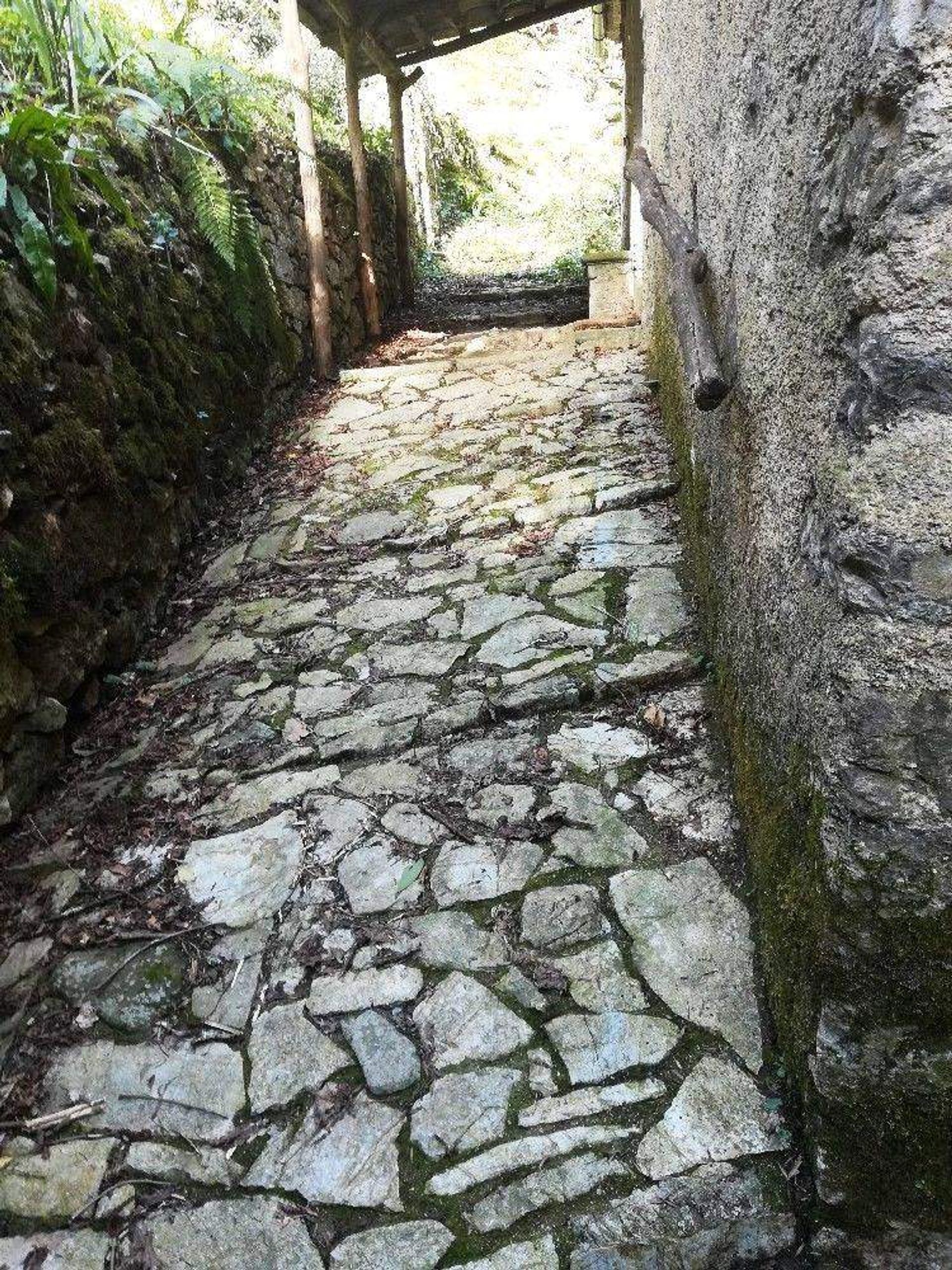 casa en Orbicciano, Toscana 10719482