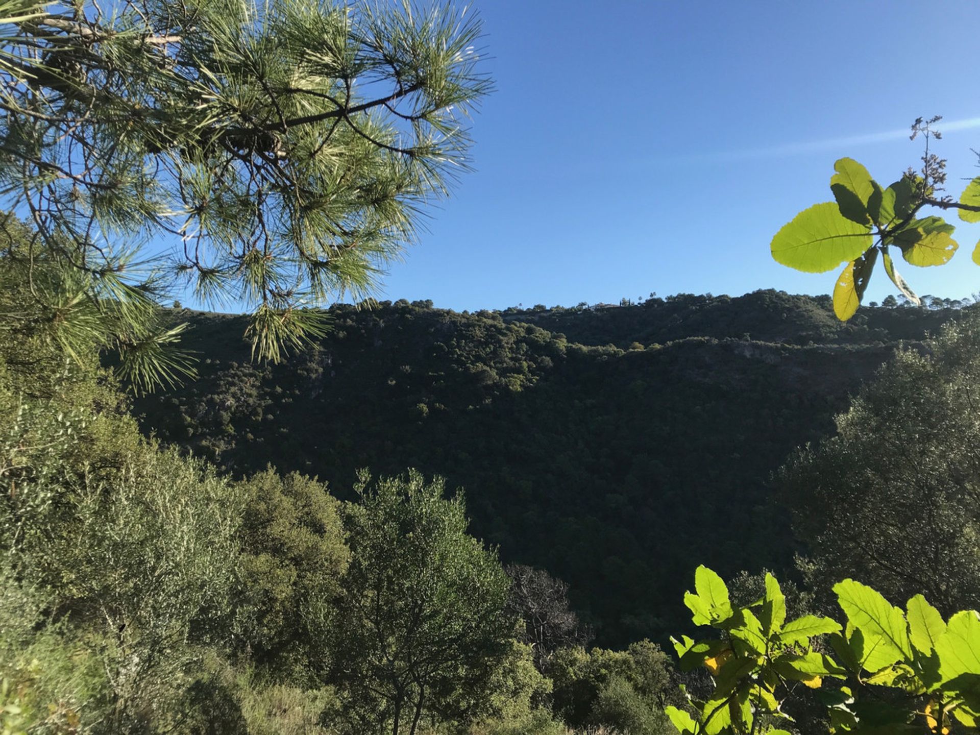 Land in Benahavis, Andalusië 10719558