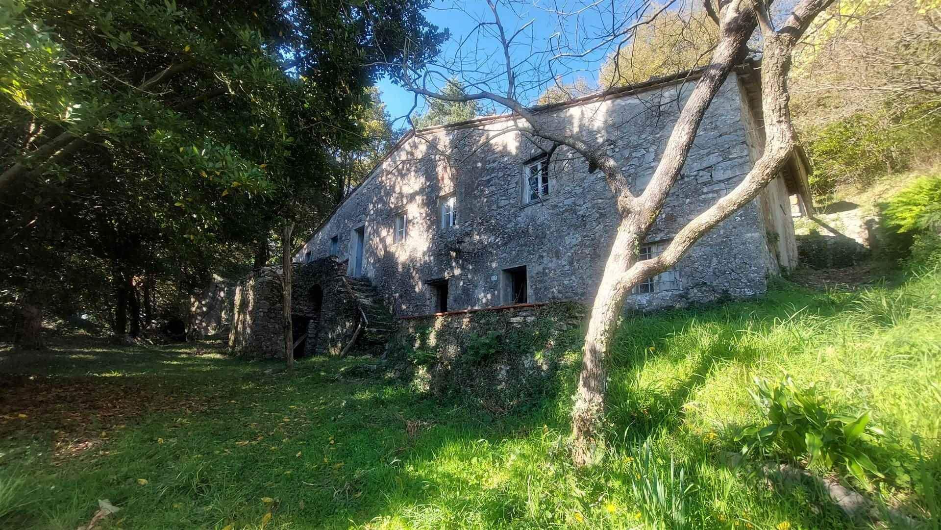 House in Saltocchio, Tuscany 10719579