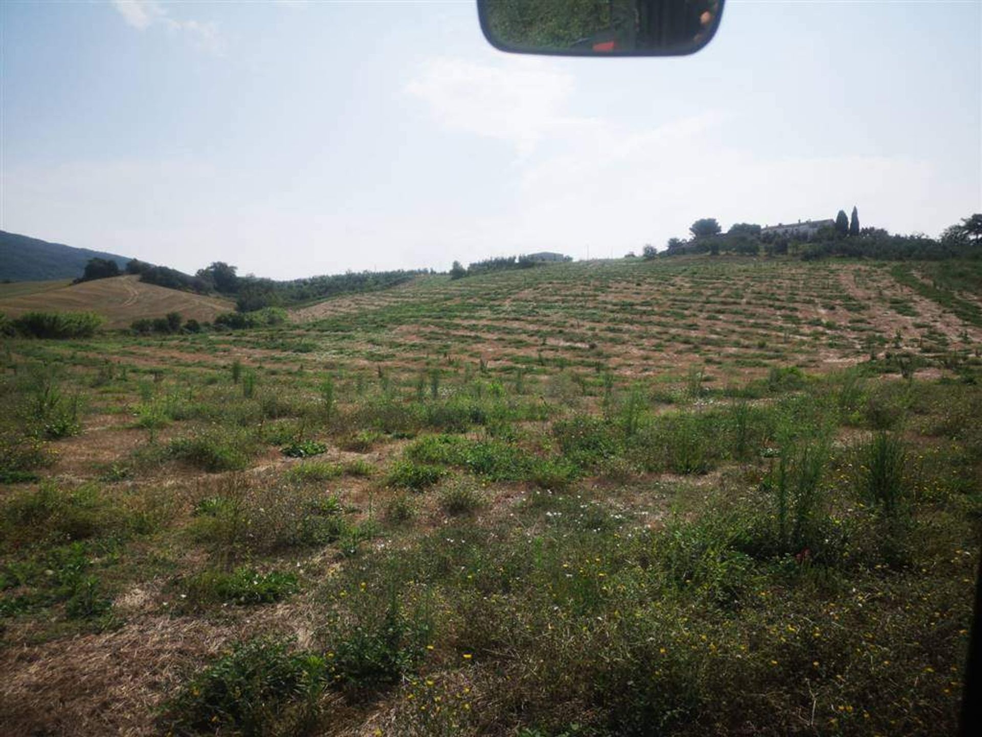 Land i Santa Luce, Toscana 10719581