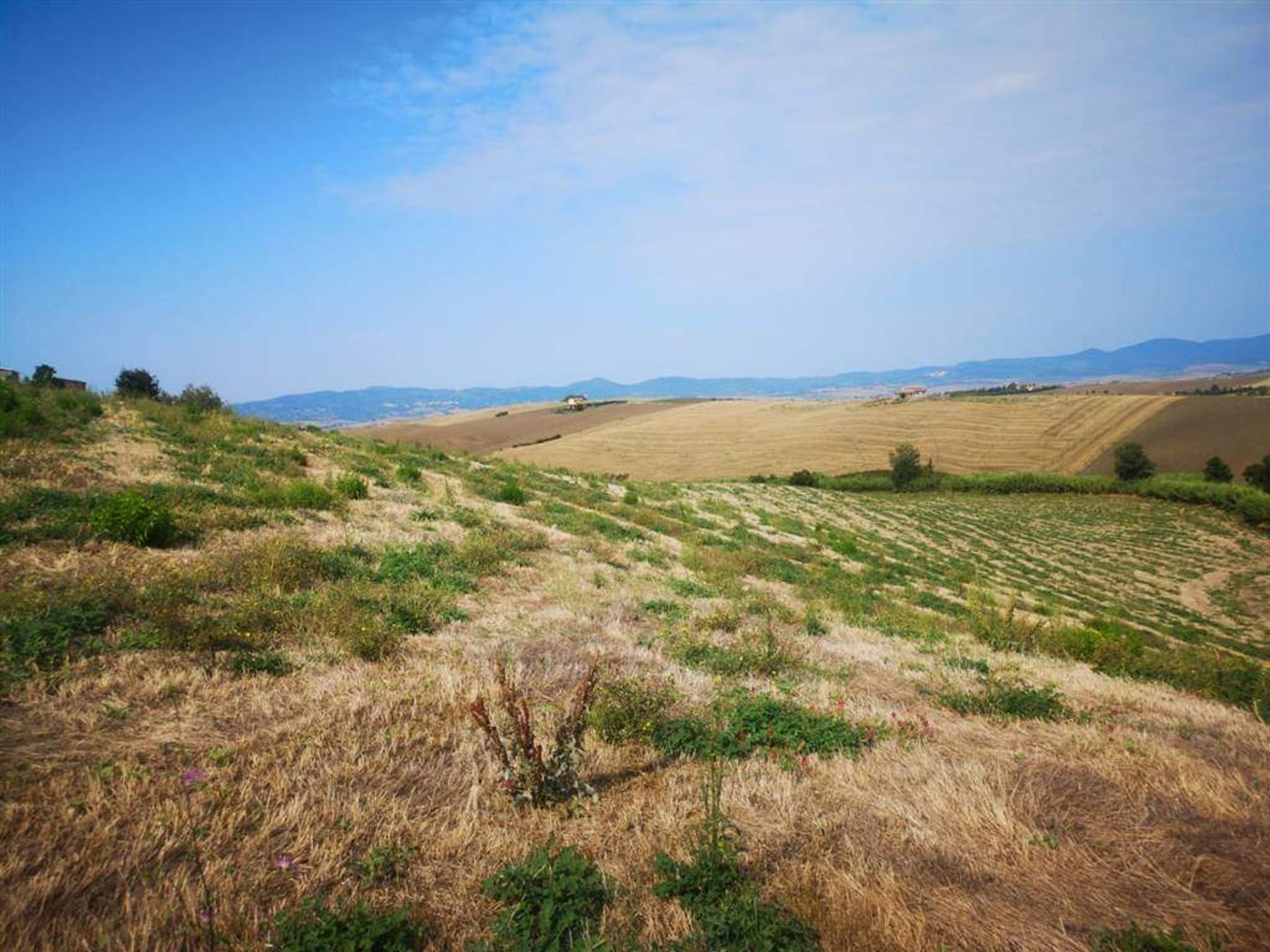 土地 在 Santa Luce, Toscana 10719581