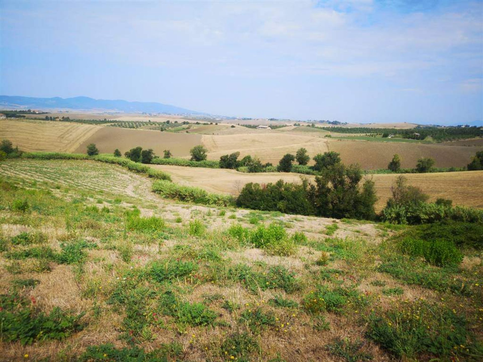 土地 在 Santa Luce, Toscana 10719581