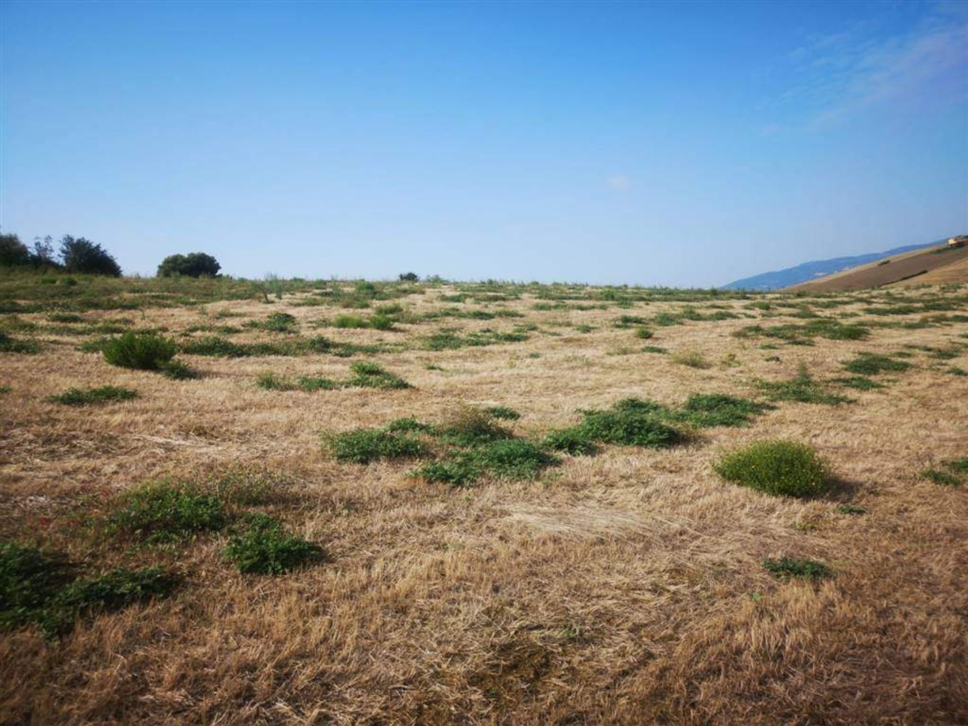 Land i Santa Luce, Toscana 10719581