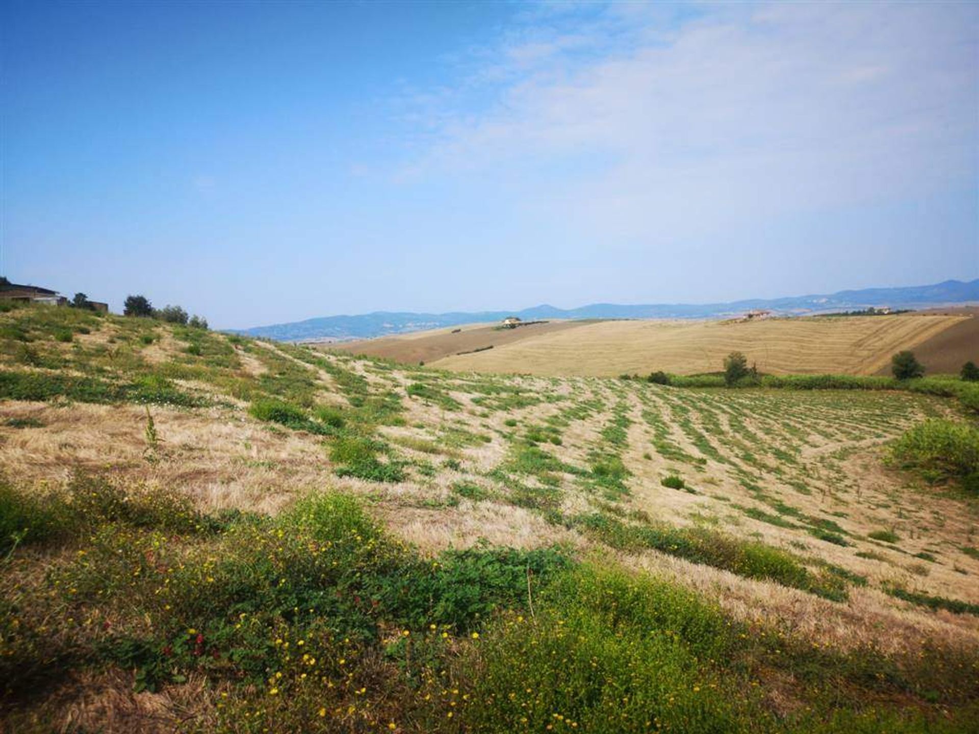 土地 在 Santa Luce, Toscana 10719581