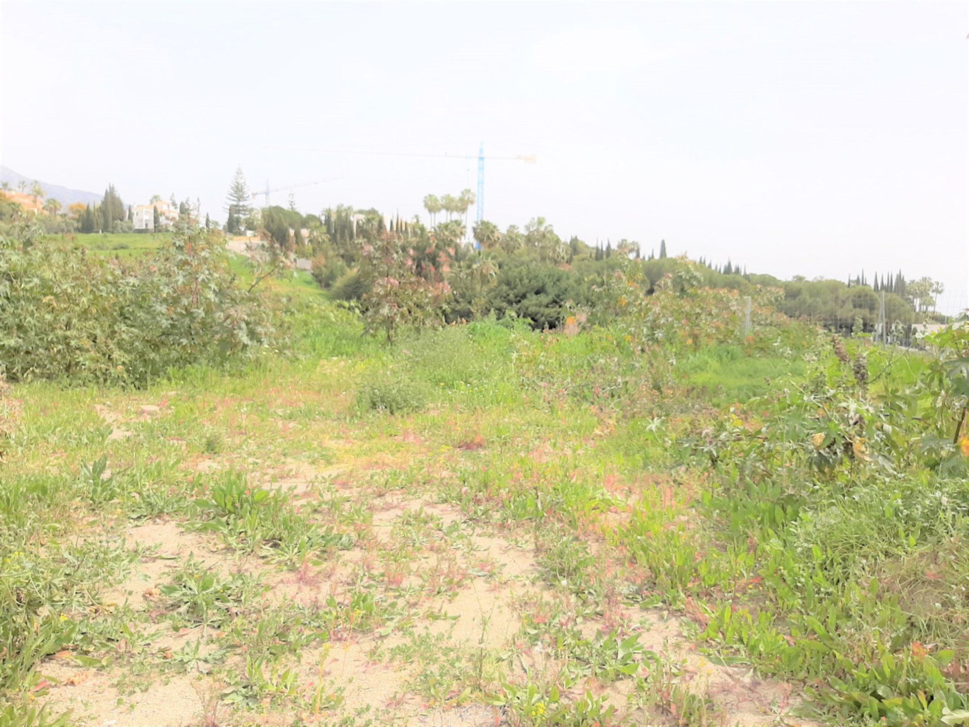 Land in San Pedro de Alcántara, Andalusië 10719624