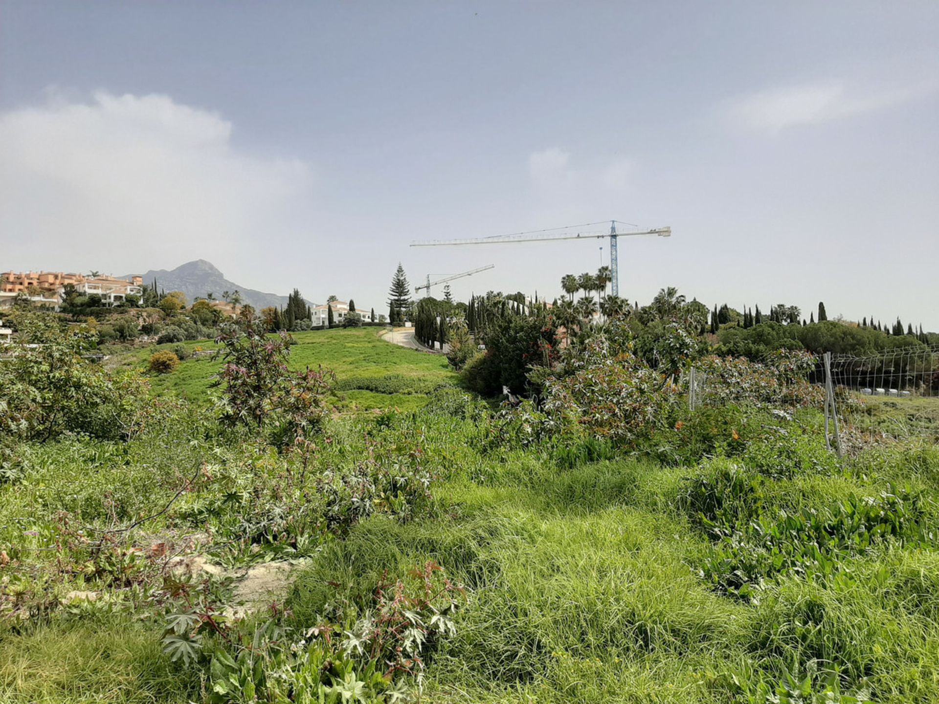 Land im San Pedro de Alcántara, Andalusien 10719624