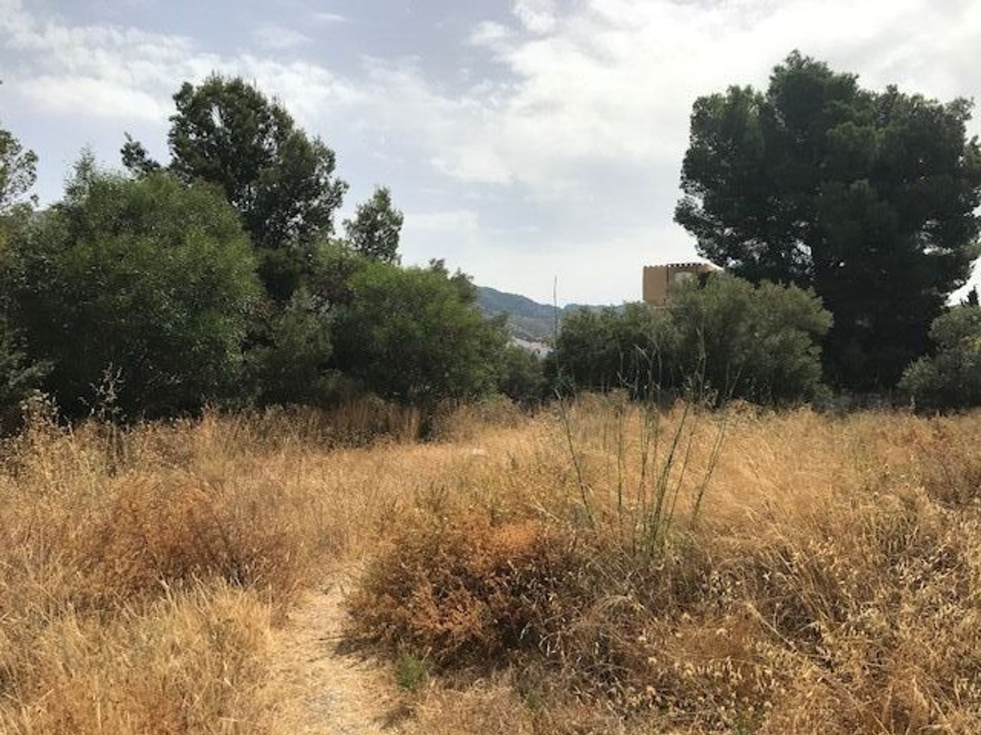 Tanah dalam Frigiliana, Andalucía 10719646