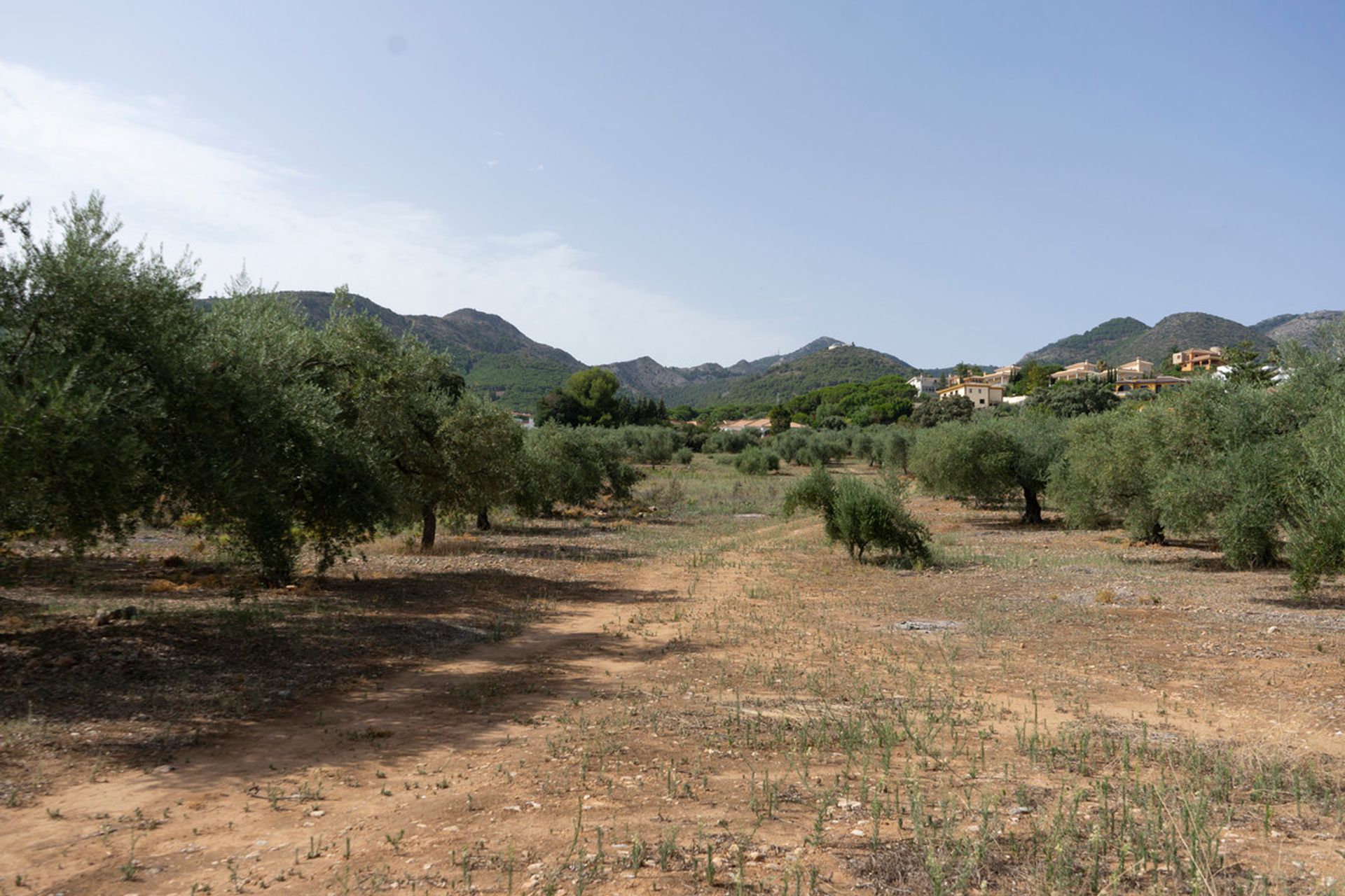 土地 在 Alhaurín de la Torre, Andalucía 10719831