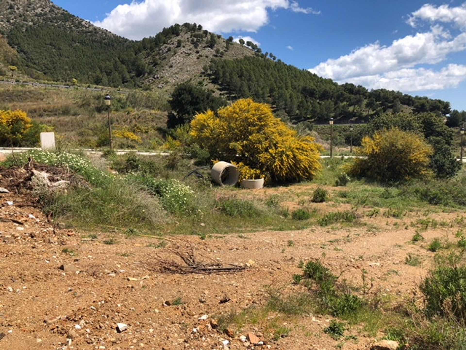 Tierra en mija, Andalucía 10719965