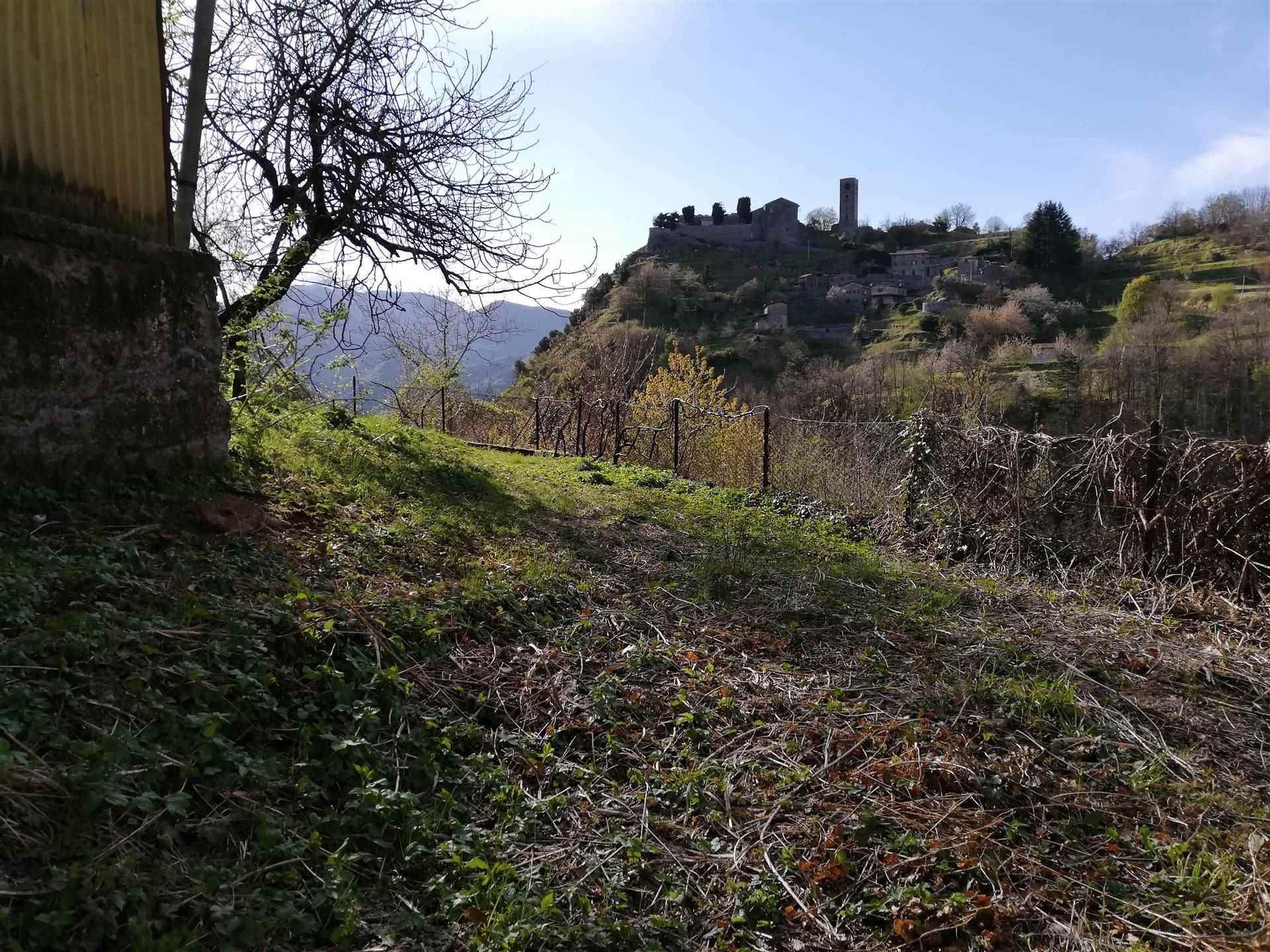 Haus im Molazzana, Toscana 10719997