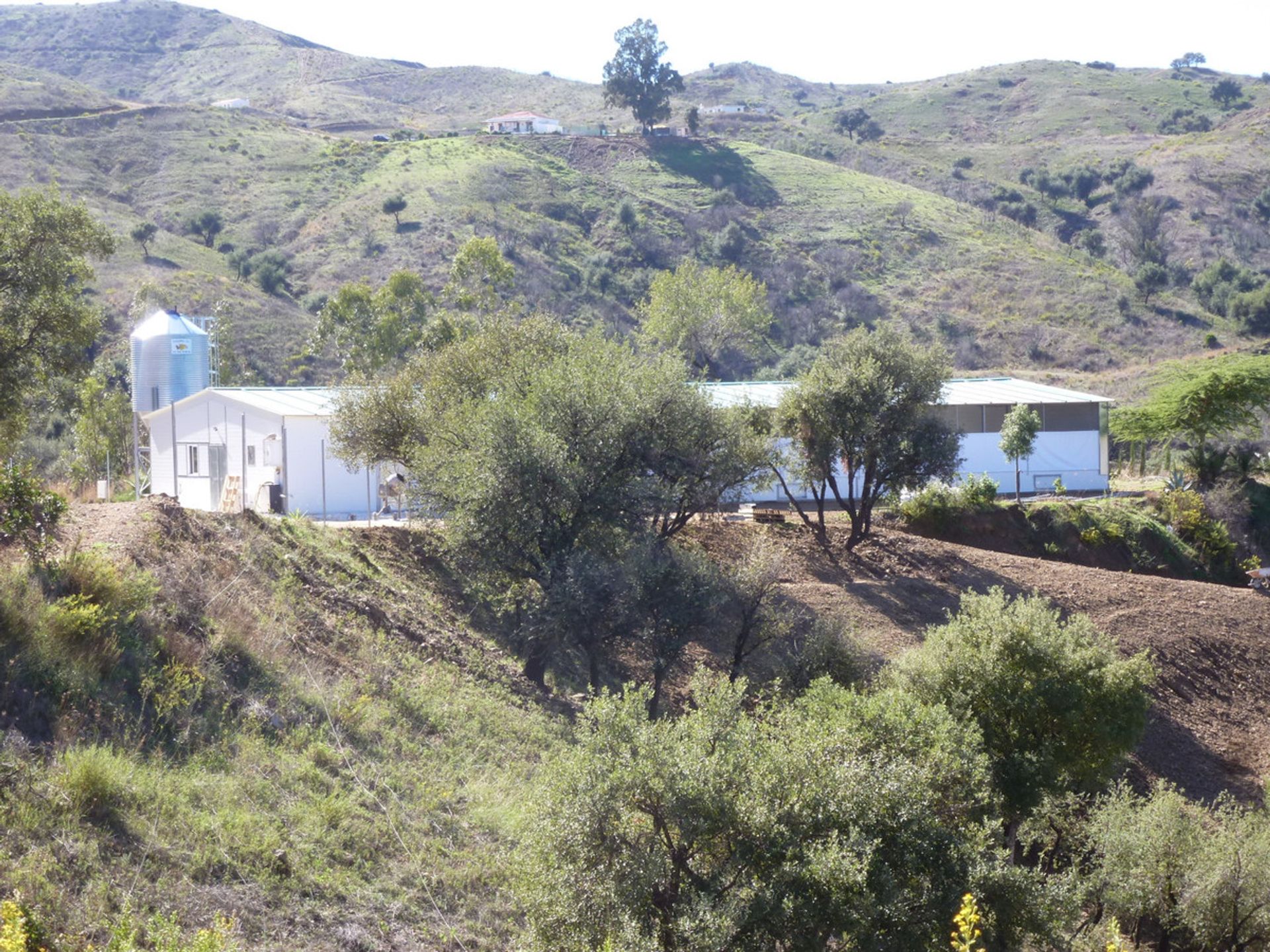 Tanah di Fuengirola, Andalusia 10720002