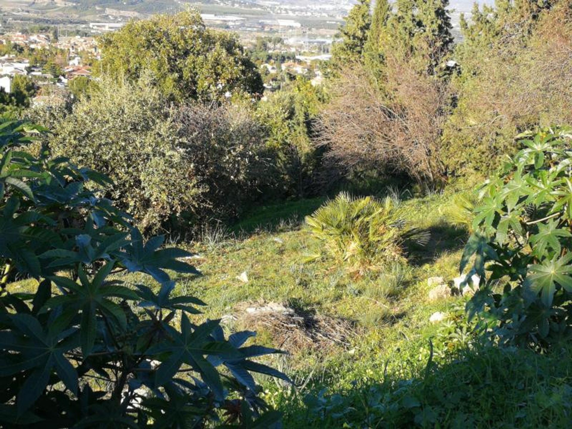 土地 在 Alhaurín de la Torre, Andalucía 10720025