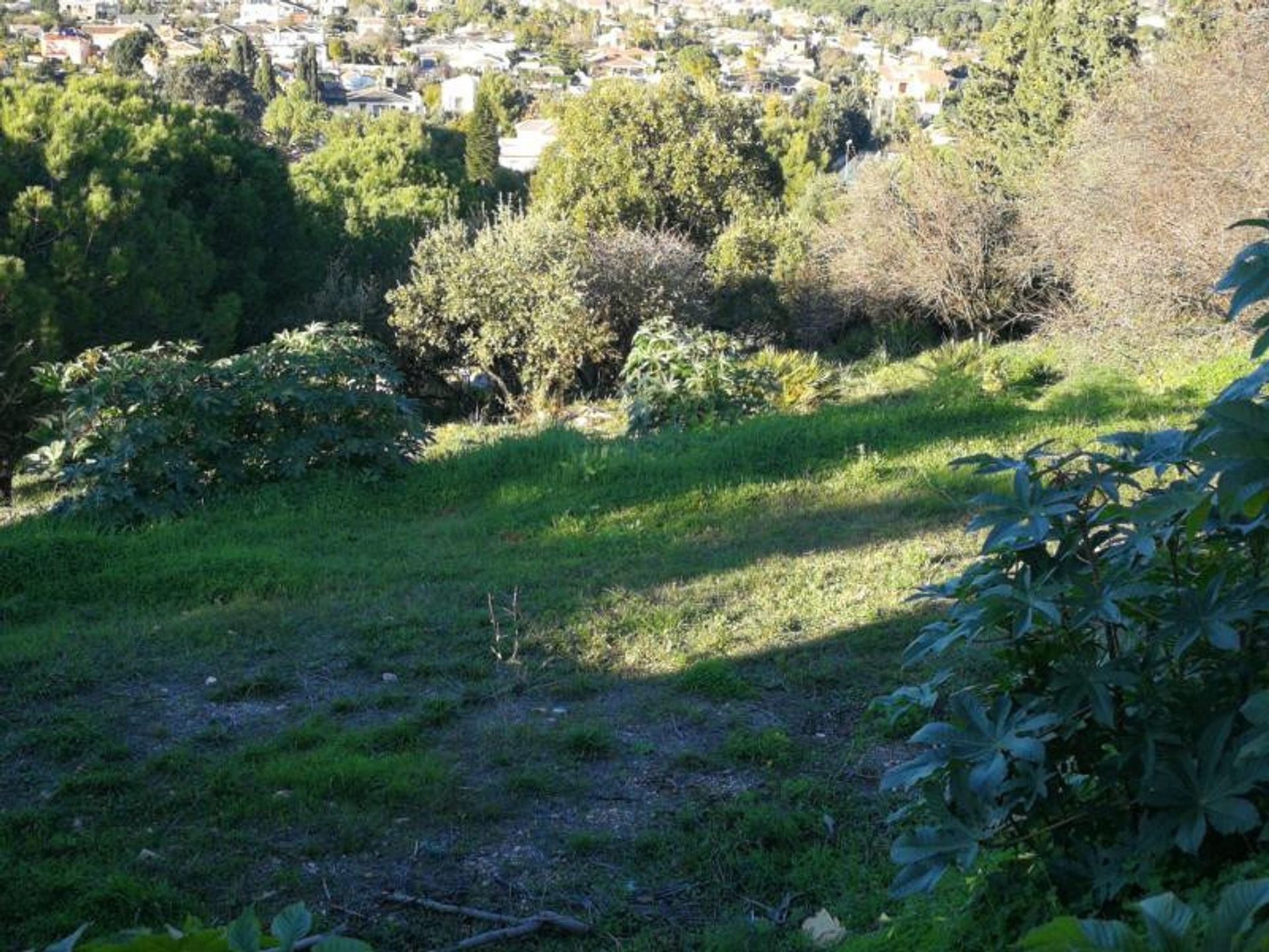 Tanah di Alhaurin de la Torre, Andalusia 10720025