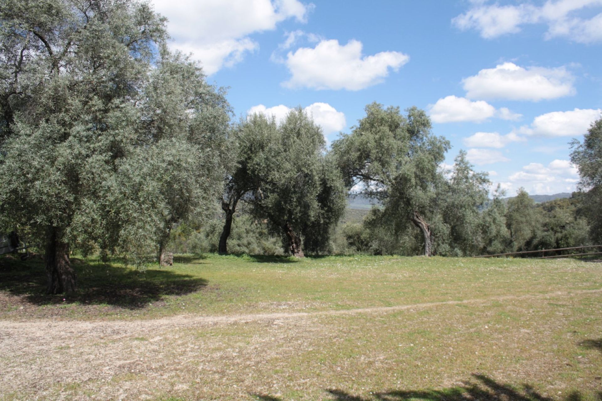 Hus i Ronda, Andalucía 10720044