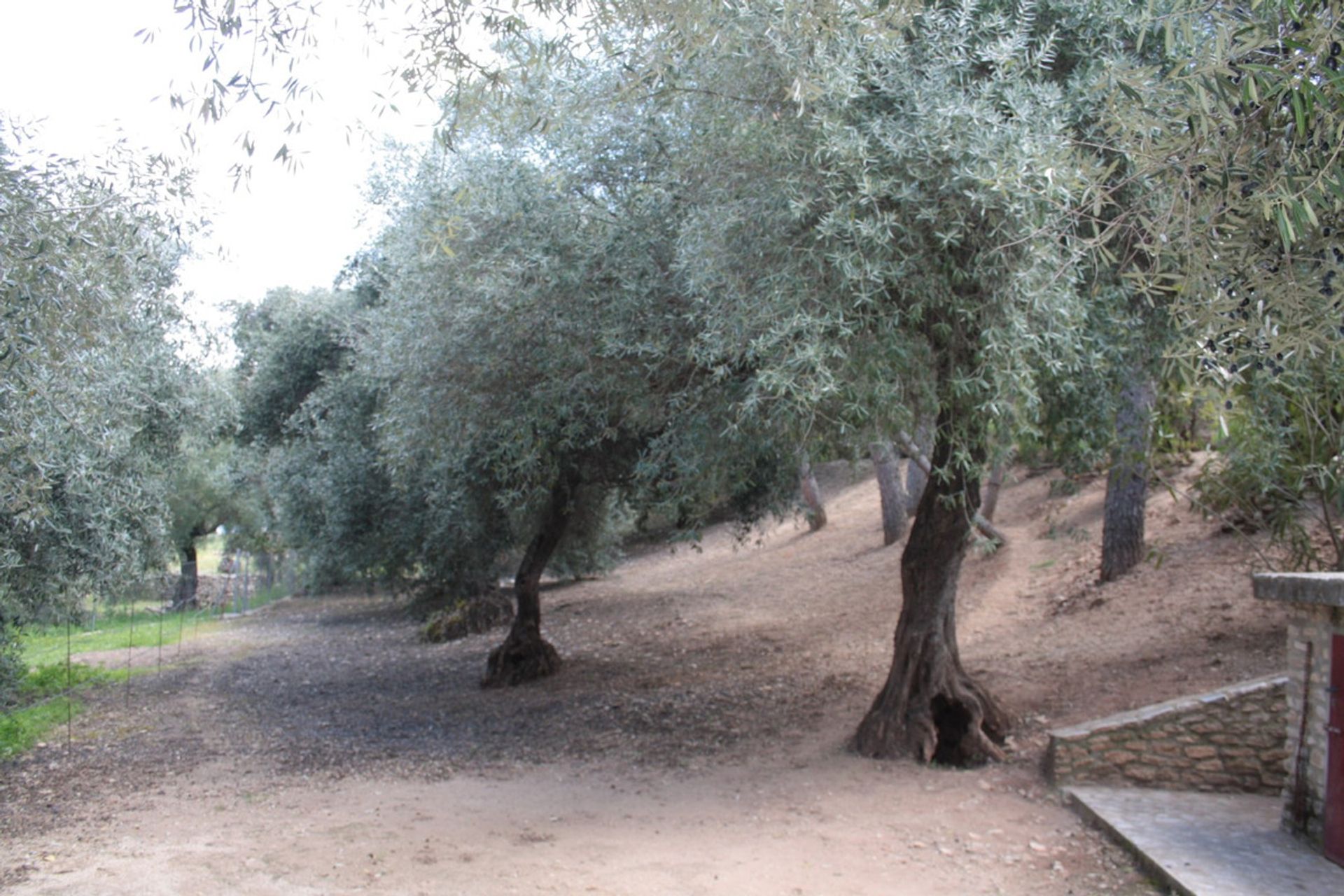 Talo sisään Ronda, Andalucía 10720044