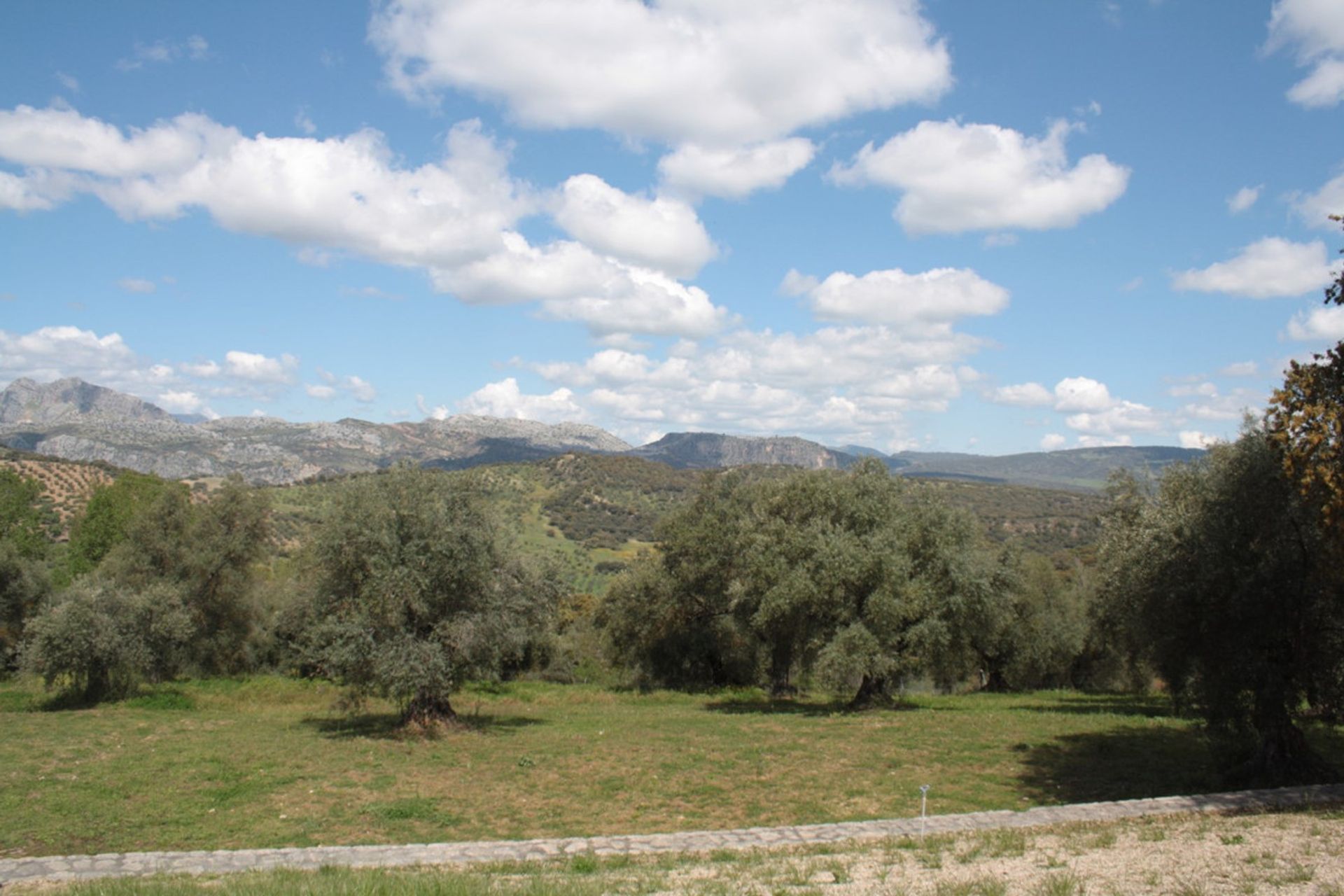 Hus i Ronda, Andalucía 10720044