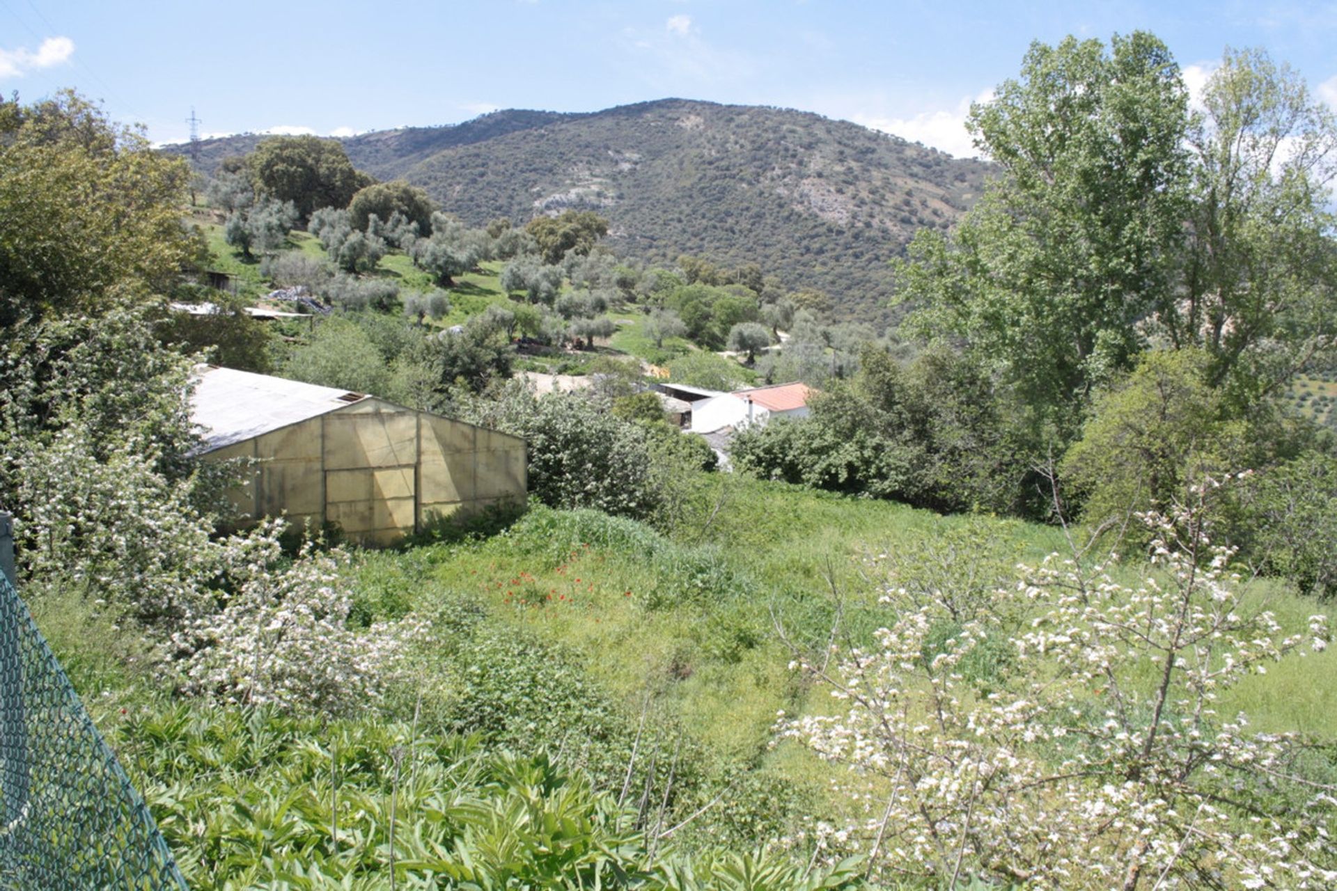 σπίτι σε Ronda, Andalucía 10720044