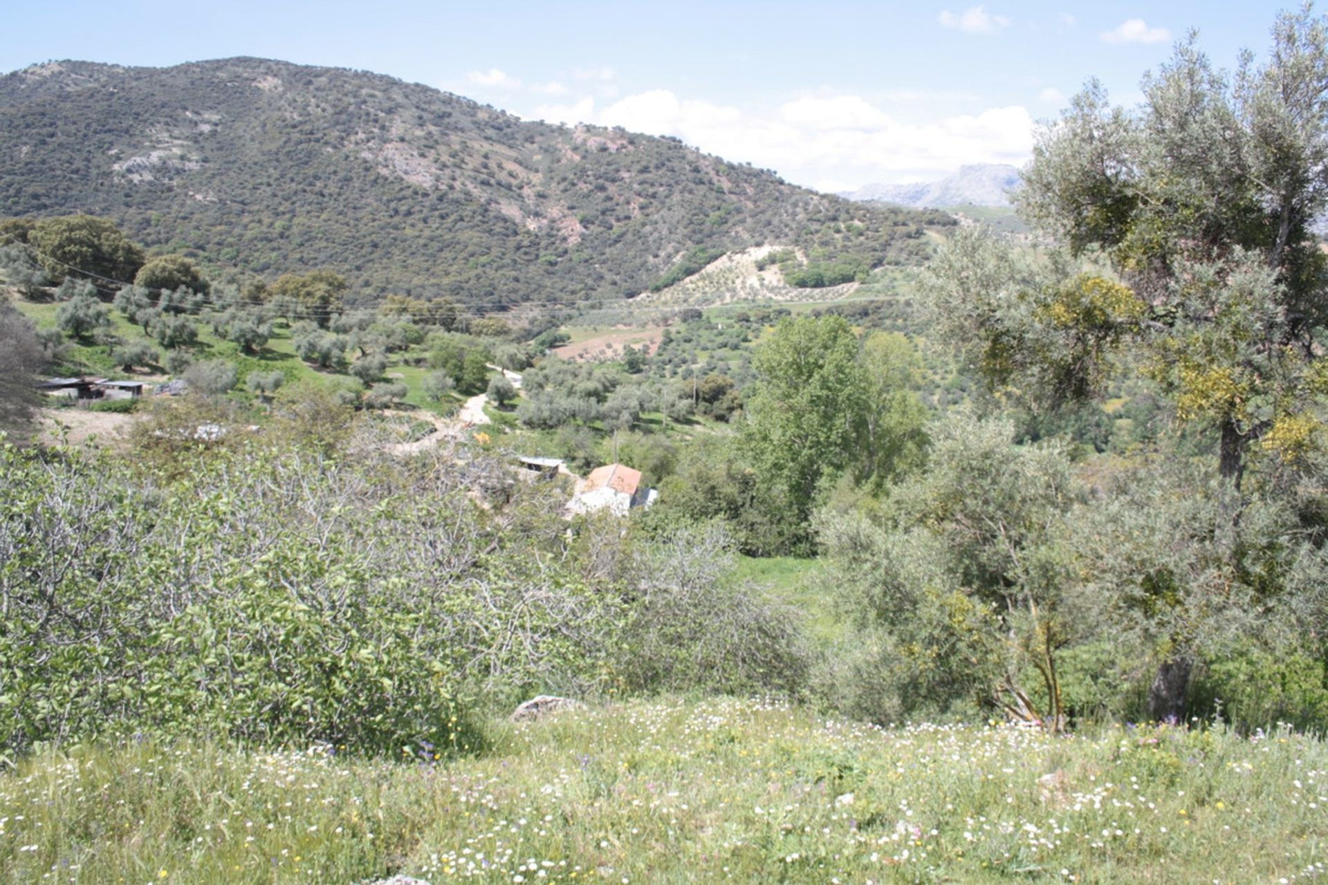 Hus i Ronda, Andalucía 10720044