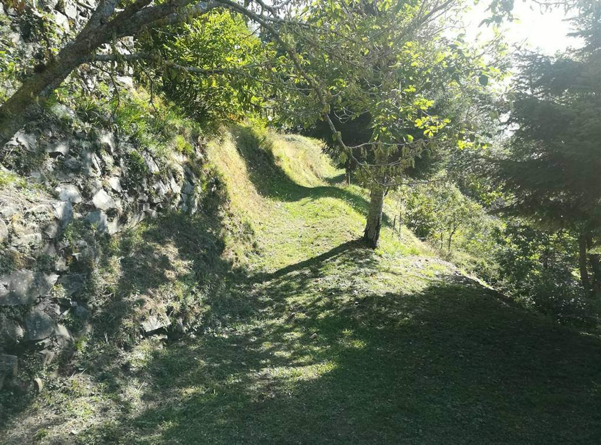 Haus im Fabbriche di Vergemoli, Toscana 10720049