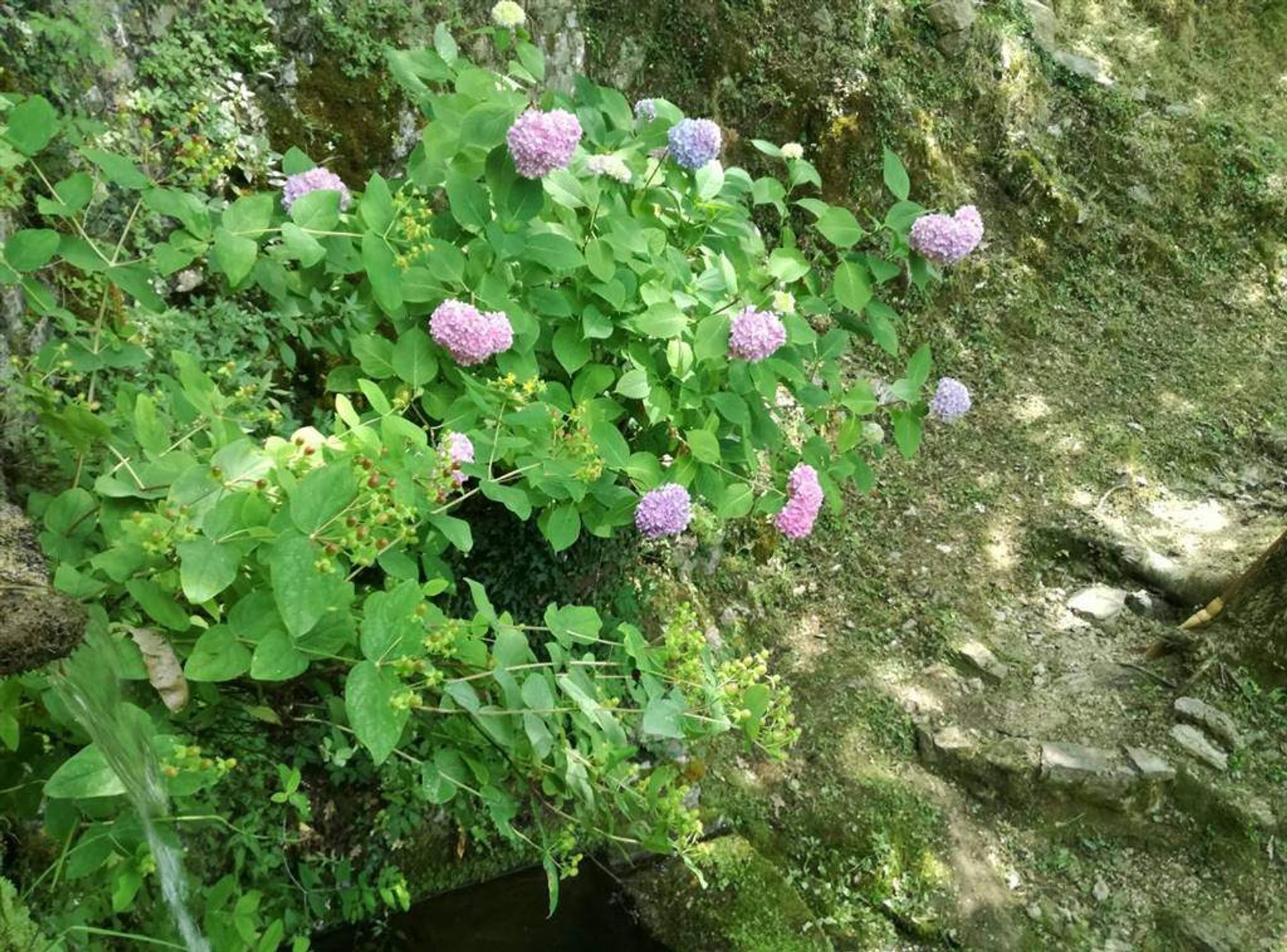 σπίτι σε Fabbriche di Vergemoli, Toscana 10720056