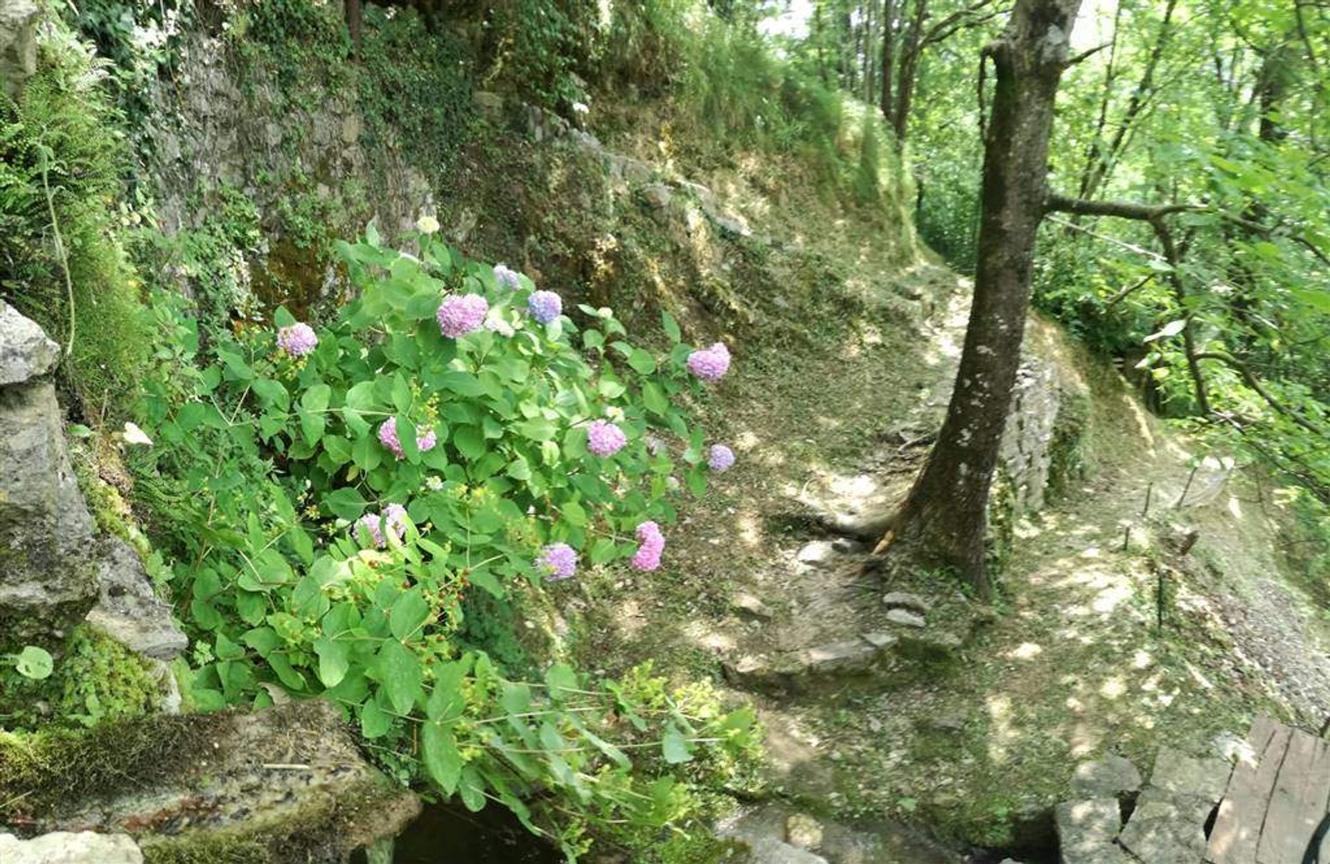 σπίτι σε Fabbriche di Vergemoli, Toscana 10720056