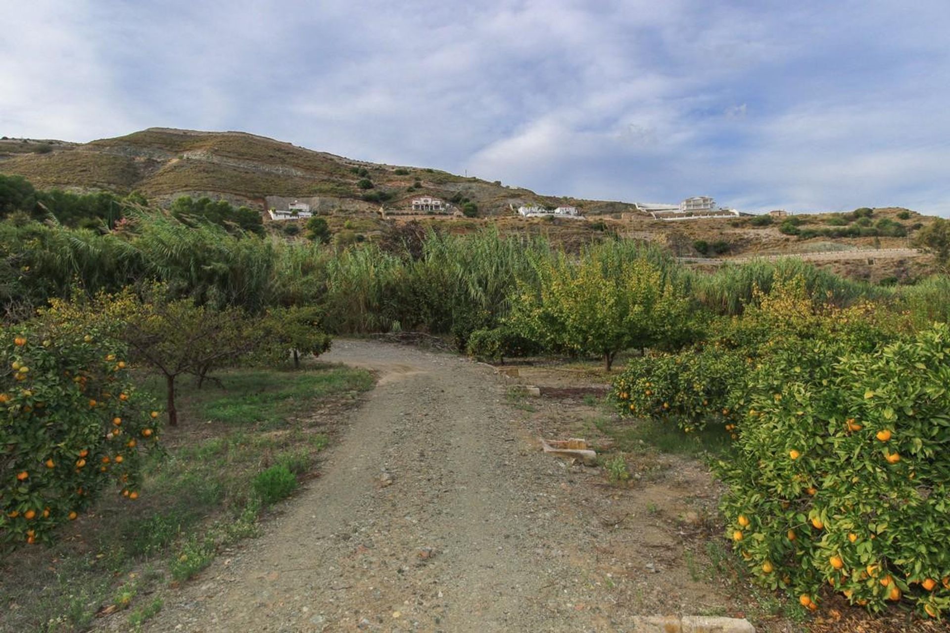 Land in Coín, Andalucía 10720181