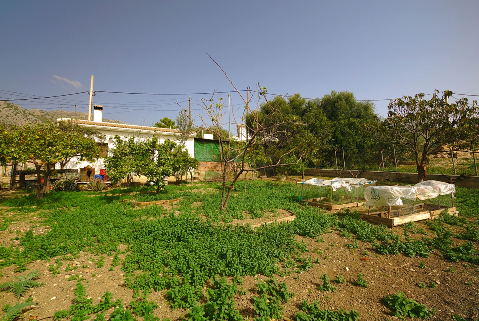 Land in Periana, Andalucía 10720201