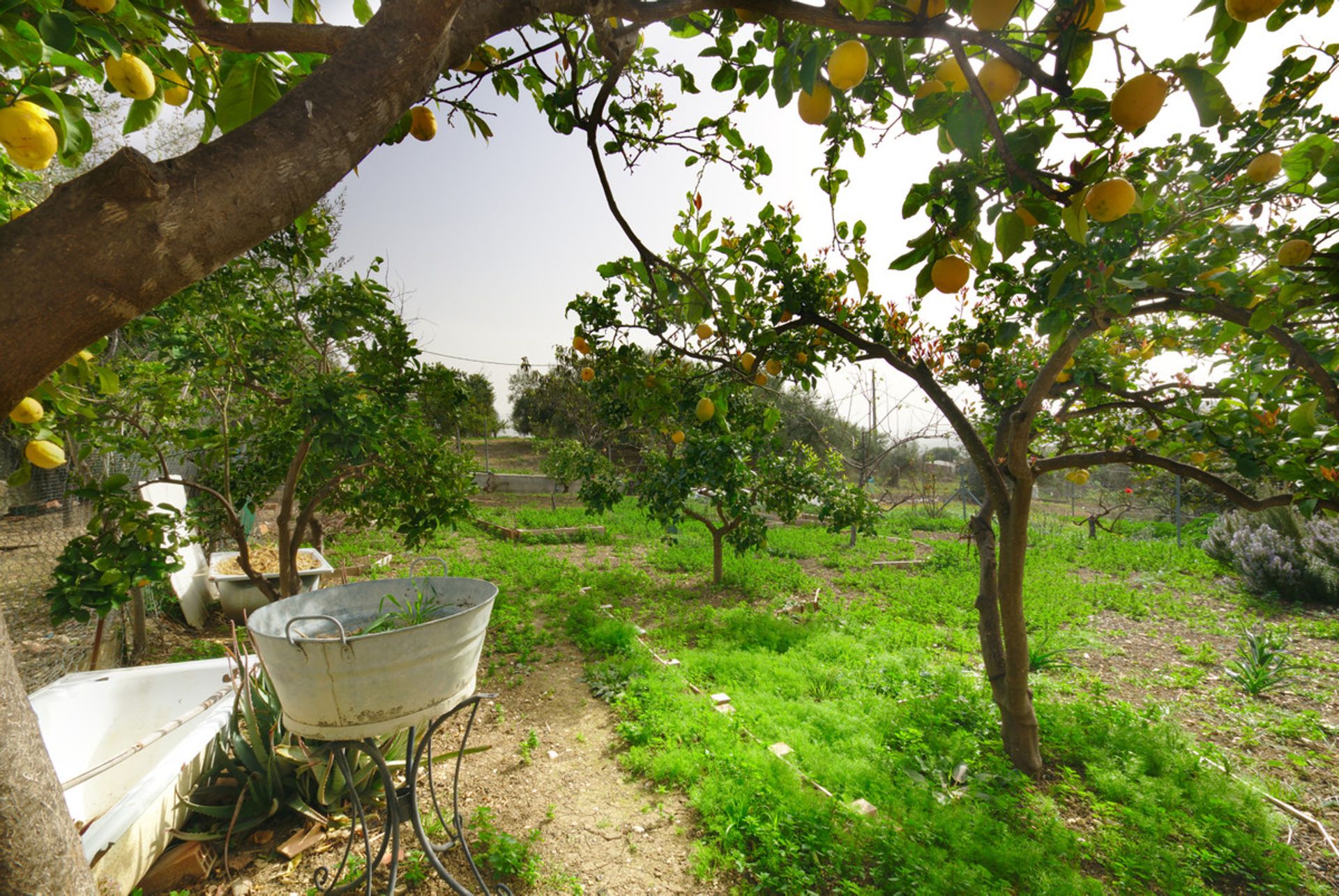 Land in Periana, Andalucía 10720201