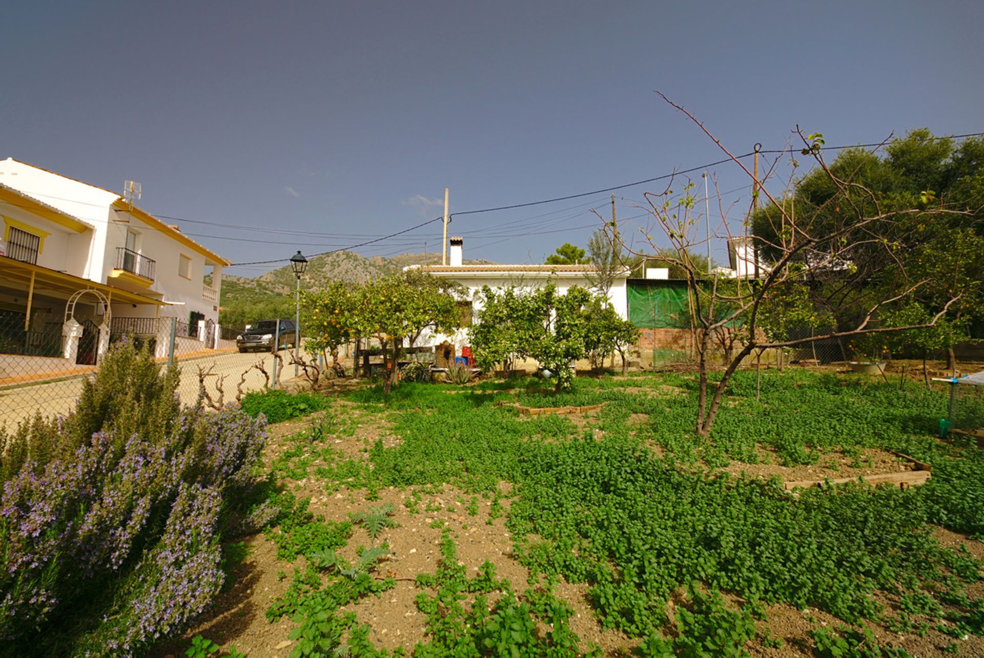 Land in Periana, Andalucía 10720201