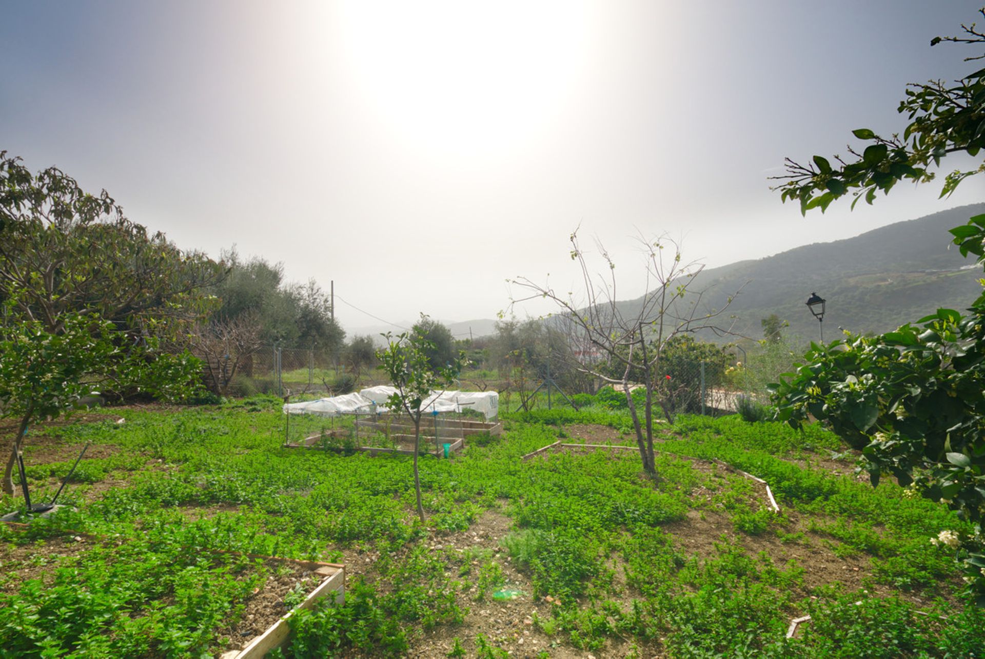 Land in Periana, Andalucía 10720201