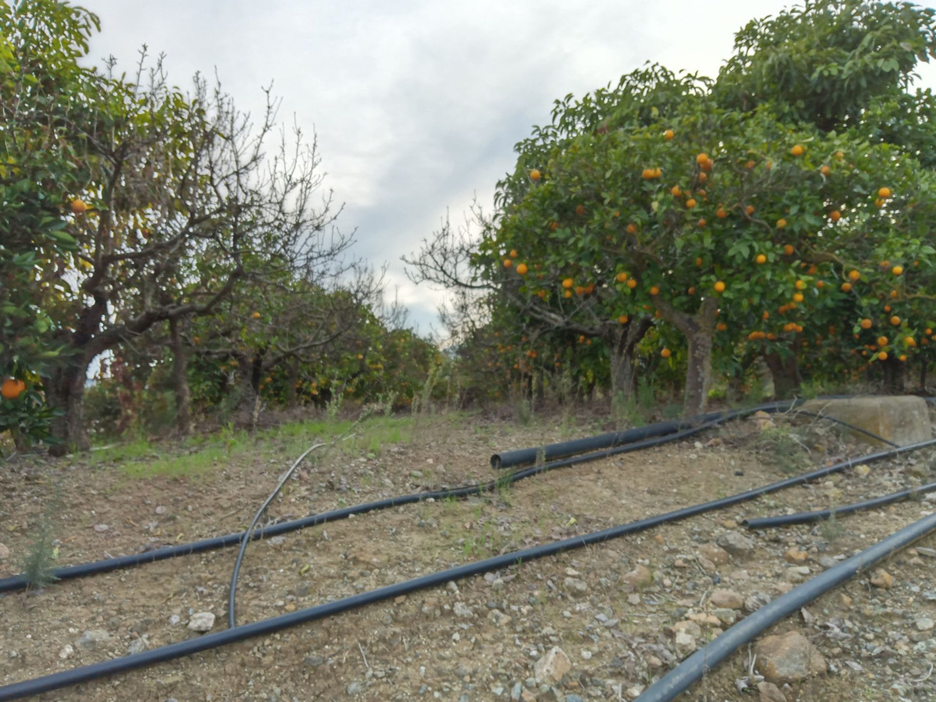 Talo sisään Alhaurin el Grande, Andalusia 10720226