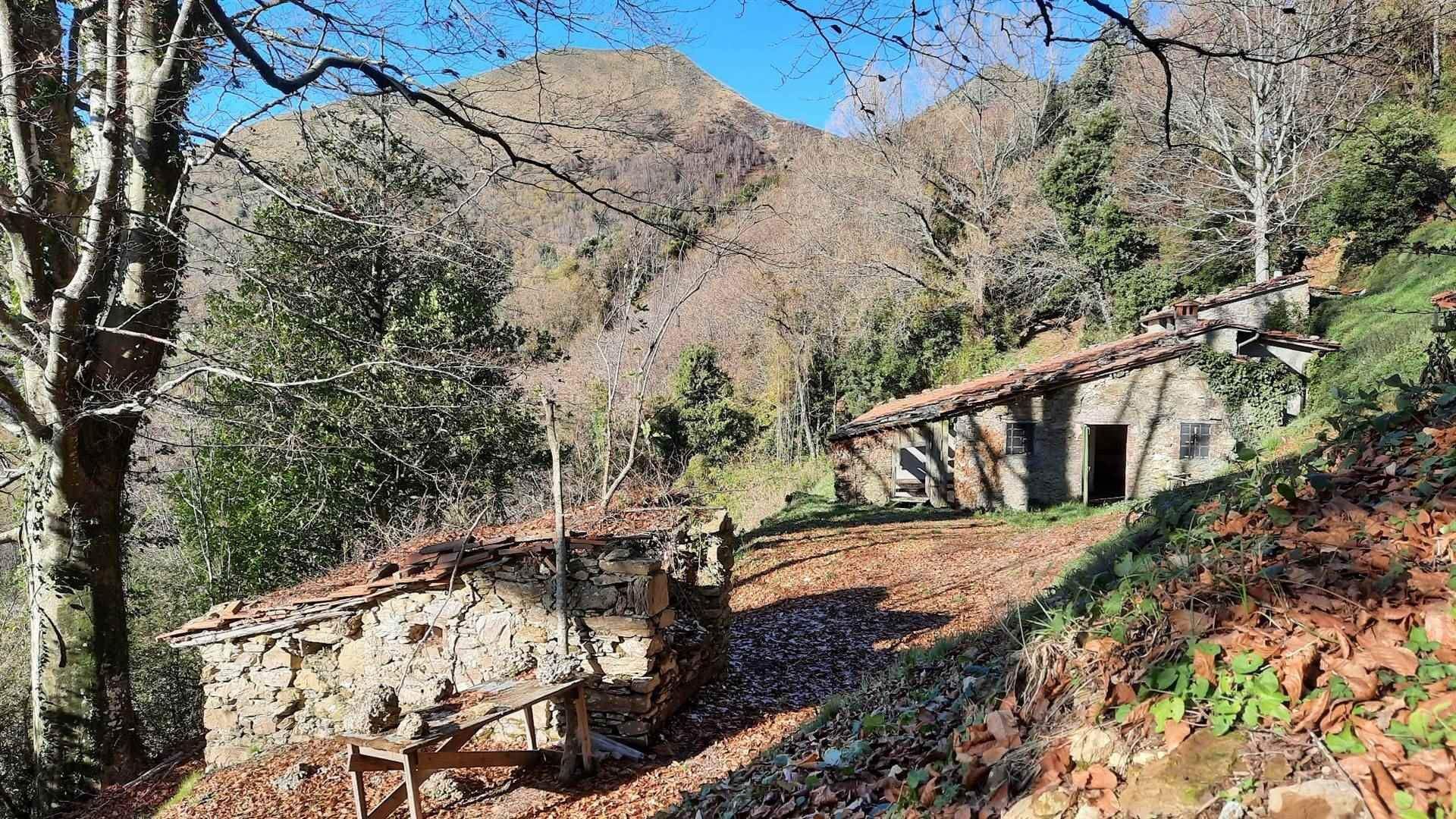 casa en Pescaglia, Toscana 10720233