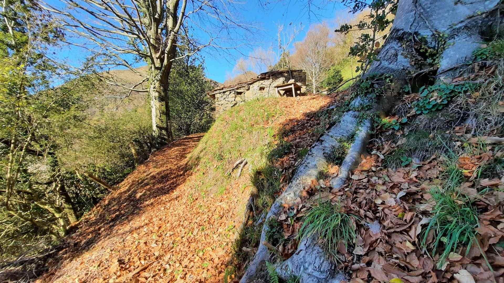 casa en Pescaglia, Toscana 10720233