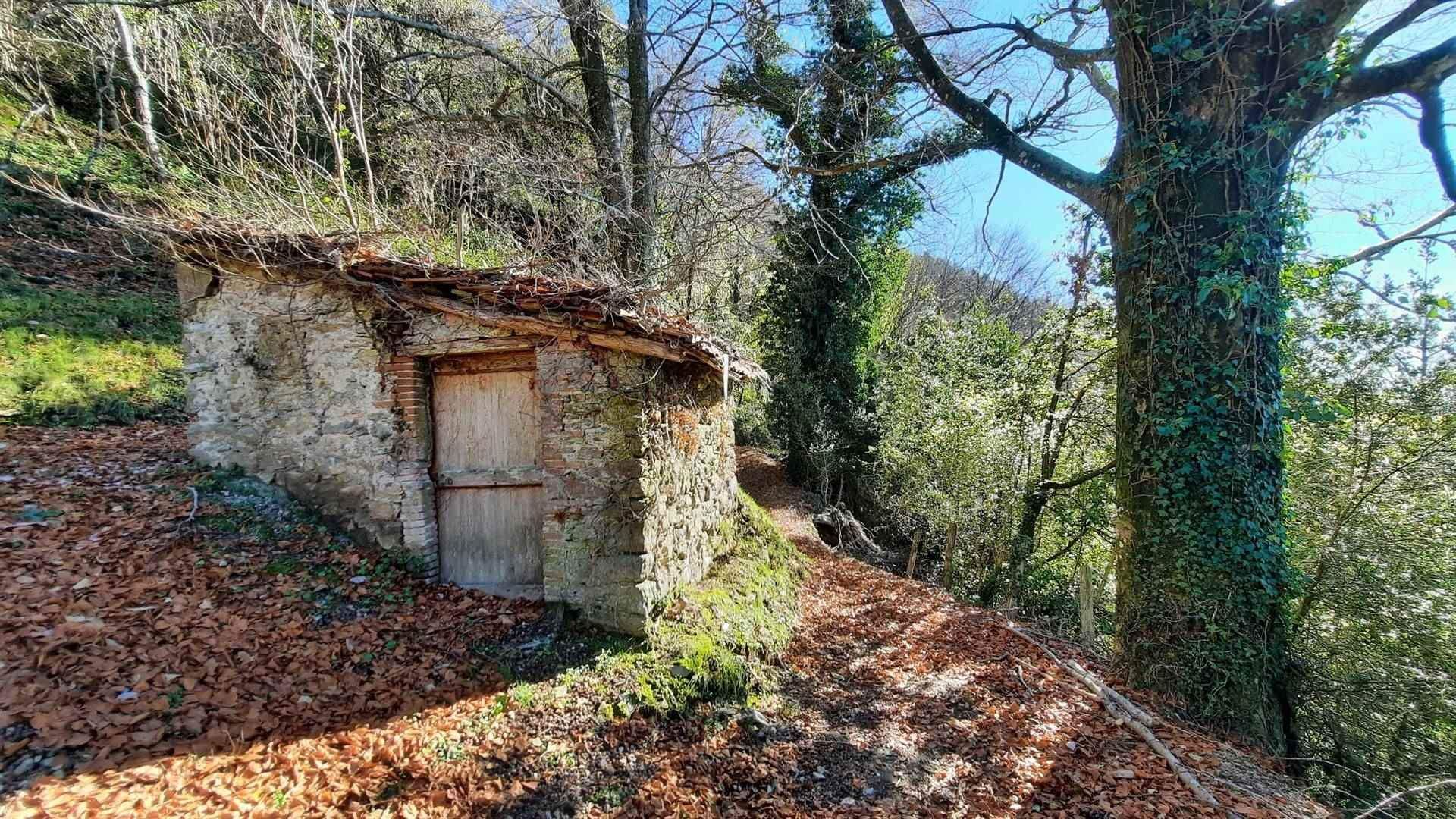 casa en Pescaglia, Toscana 10720233