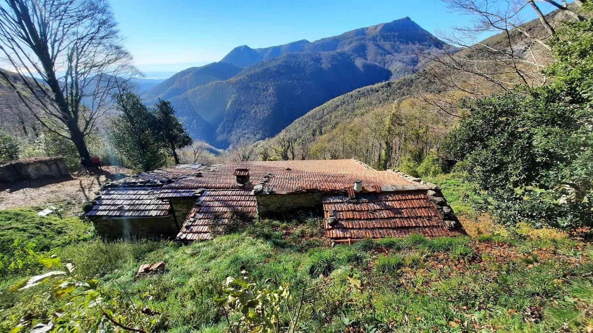 casa en Pescaglia, Toscana 10720233