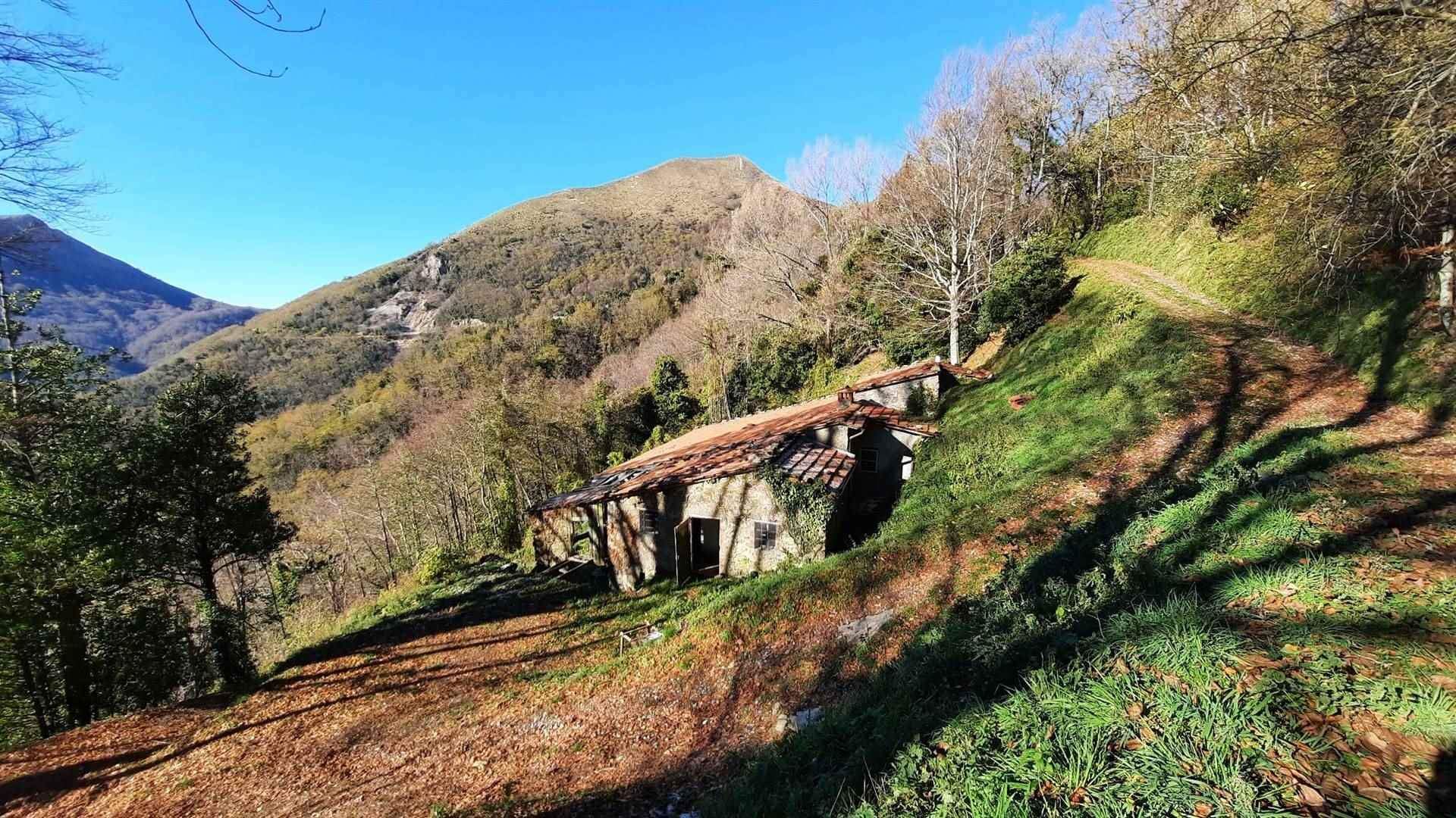 casa en Pescaglia, Toscana 10720233