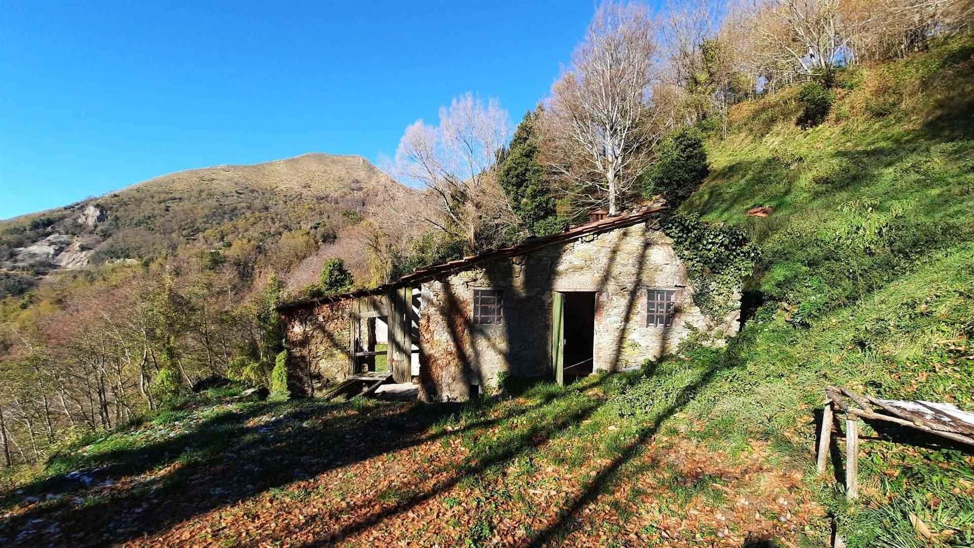 casa en Pescaglia, Toscana 10720233