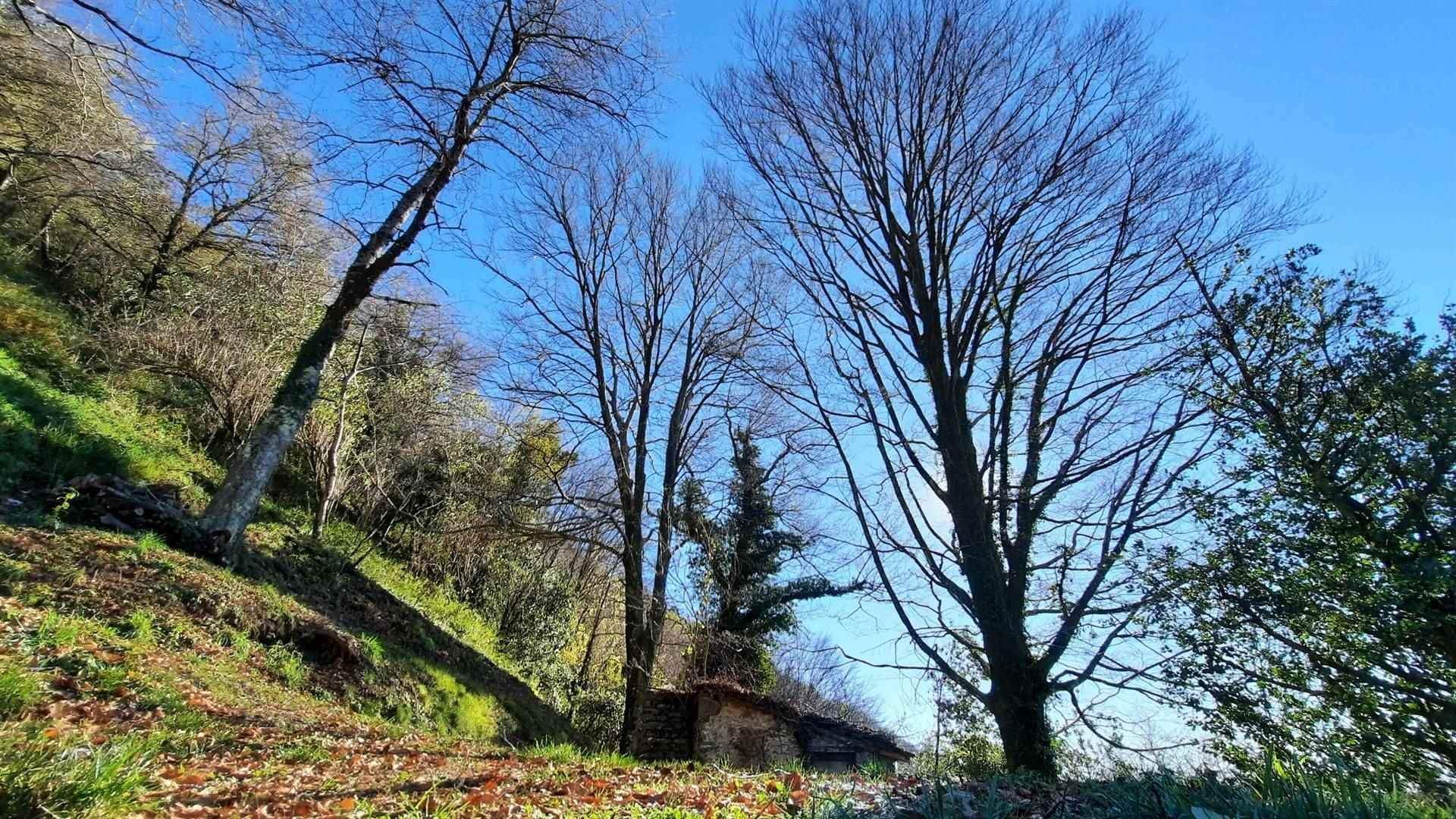 casa en Pescaglia, Toscana 10720233