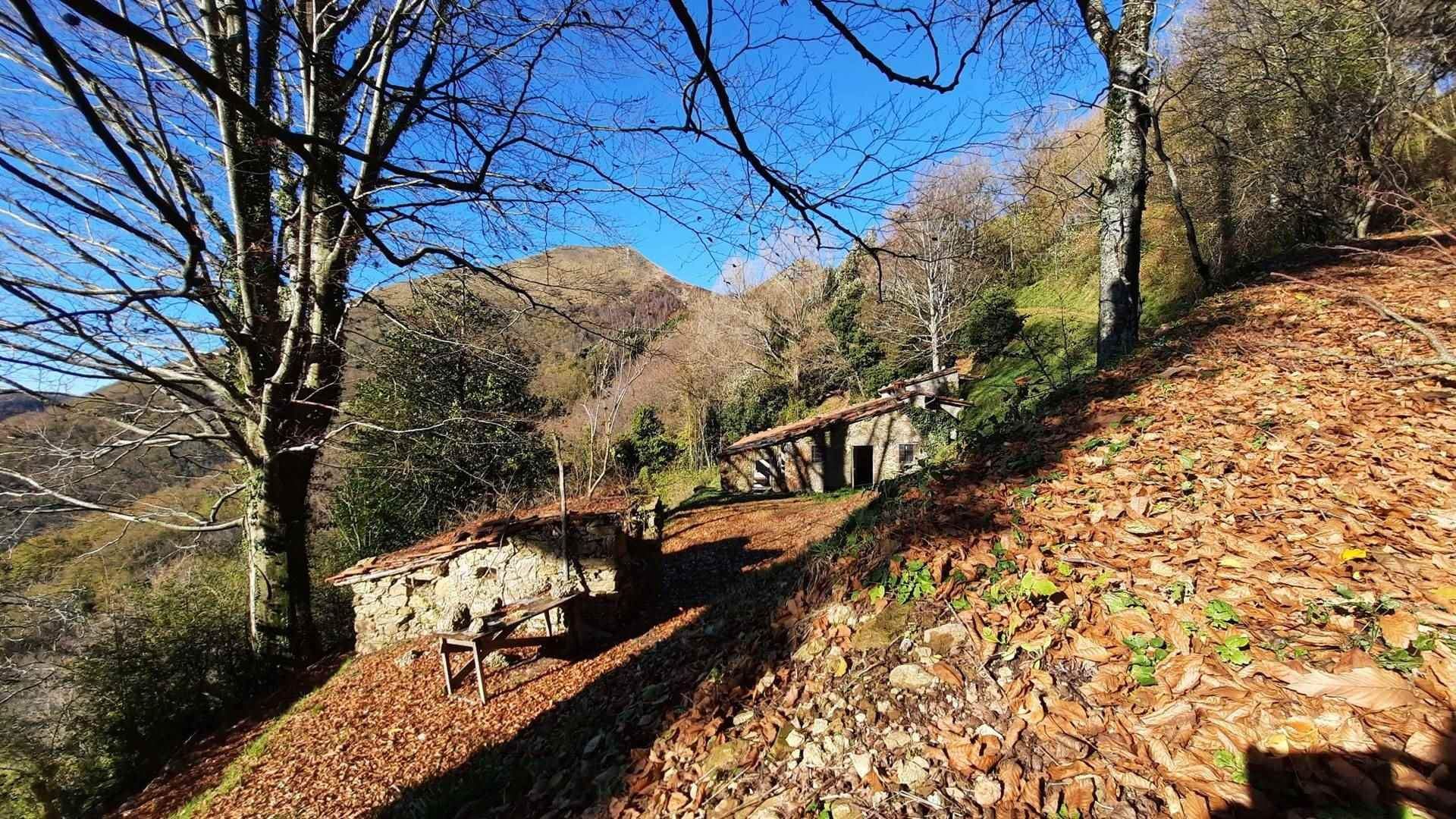 casa en Pescaglia, Toscana 10720233