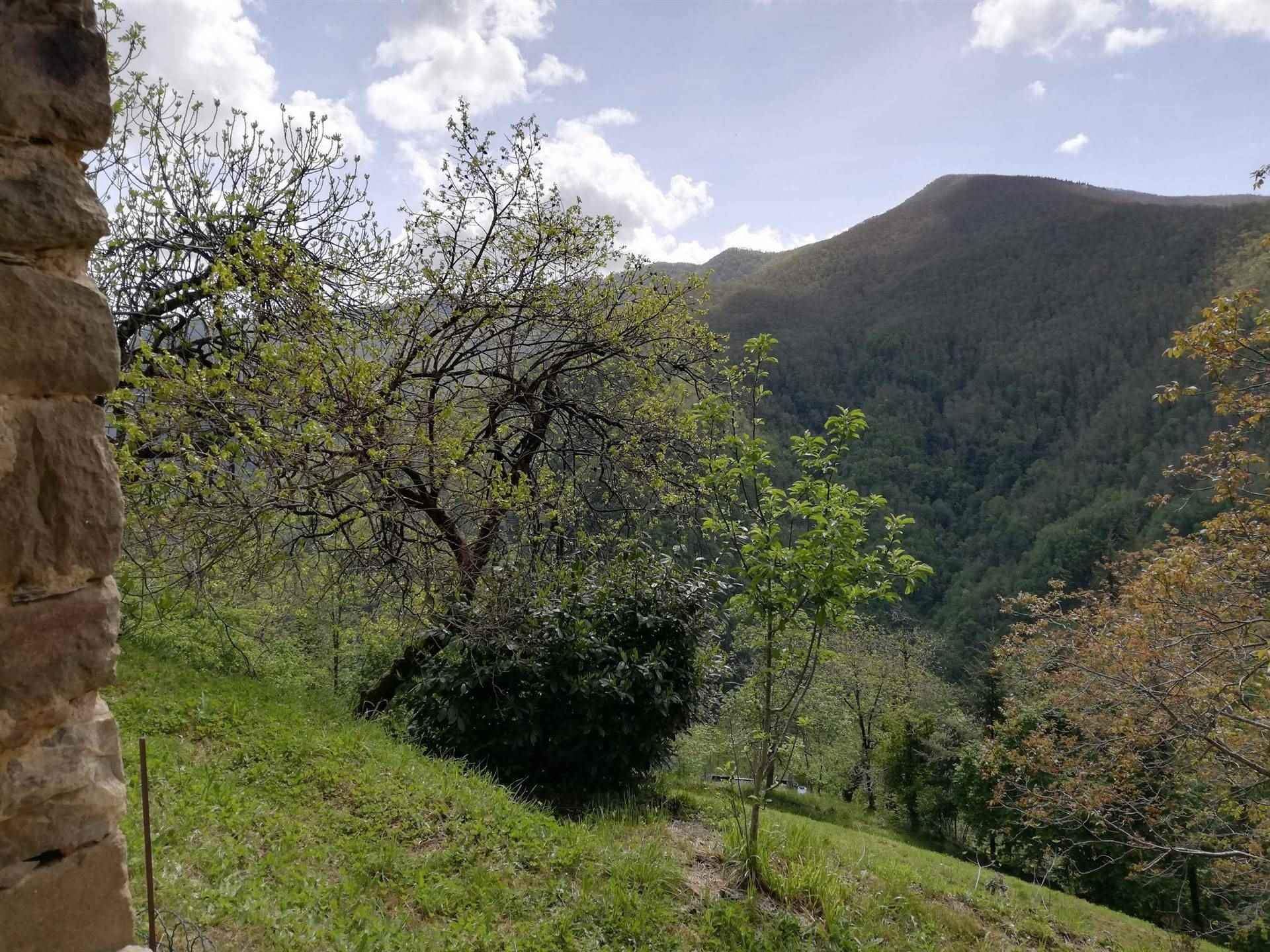 房子 在 Fabbriche di Vergemoli, Toscana 10720234