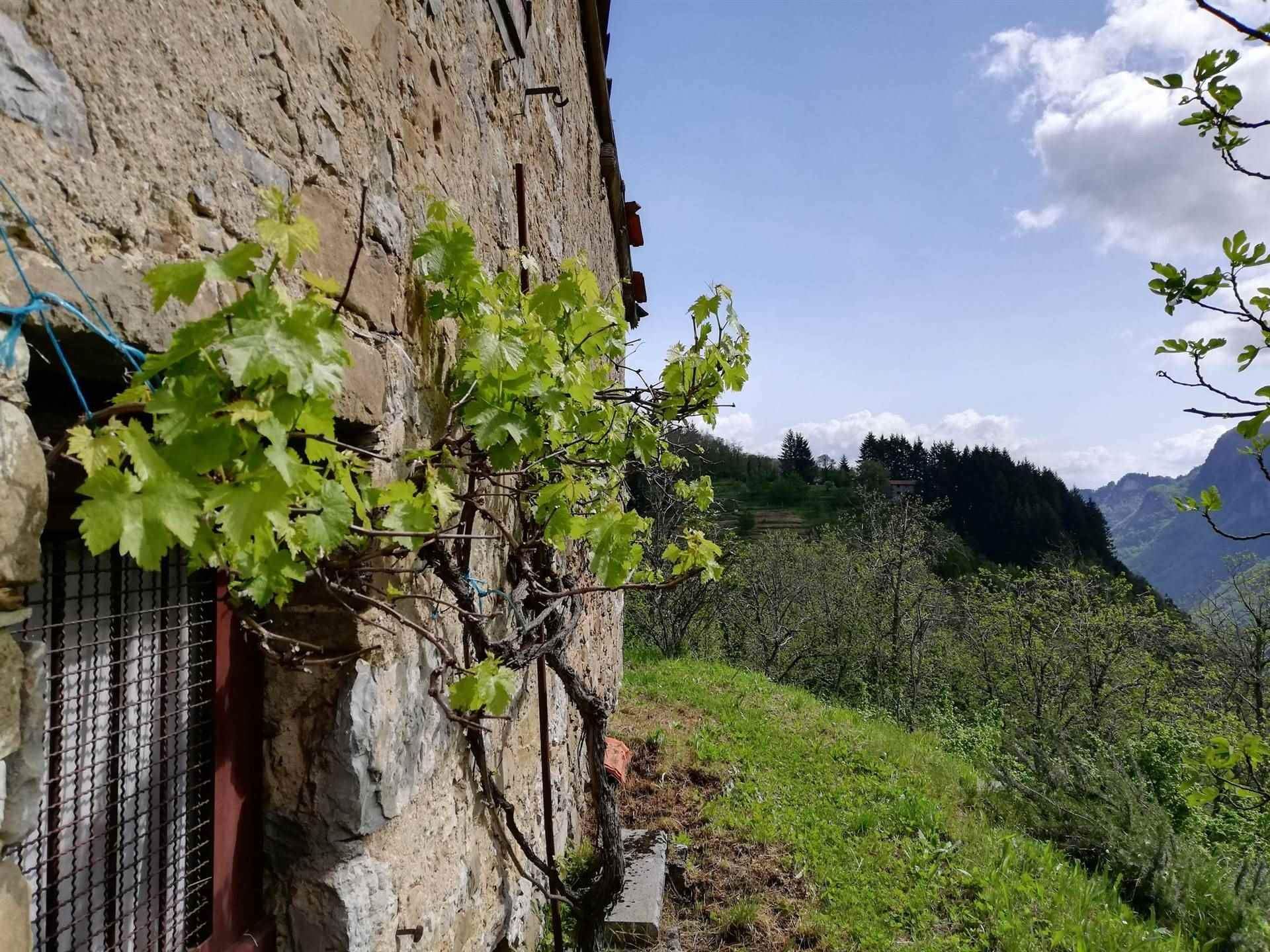 Rumah di Fabbriche di Vergemoli, Toscana 10720234