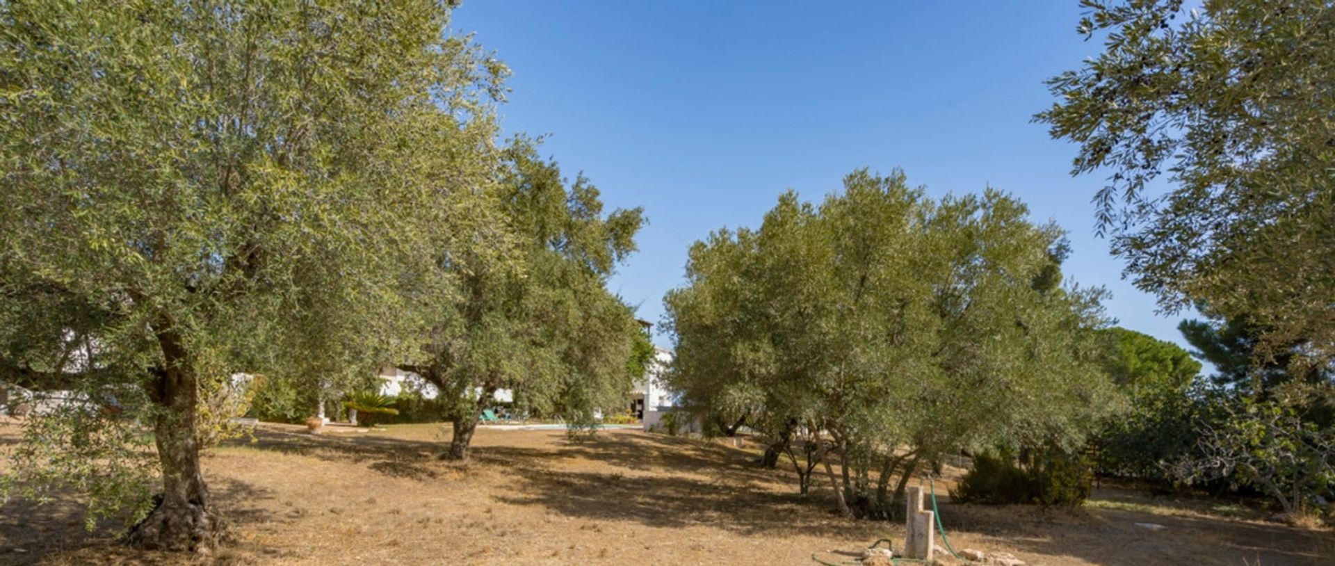 loger dans Alhaurín de la Torre, Andalucía 10720241