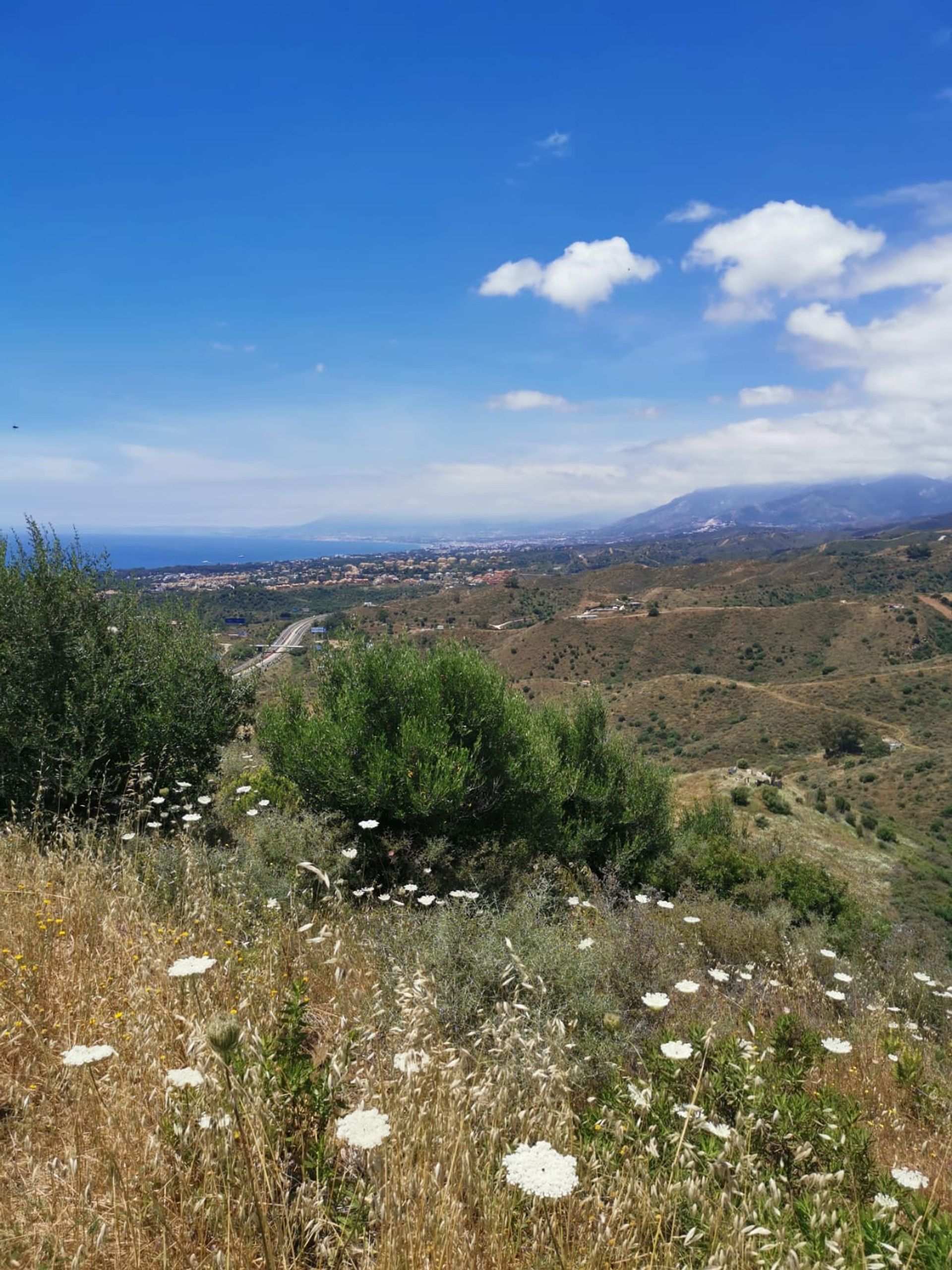 Land in Marbella, Andalucía 10720266