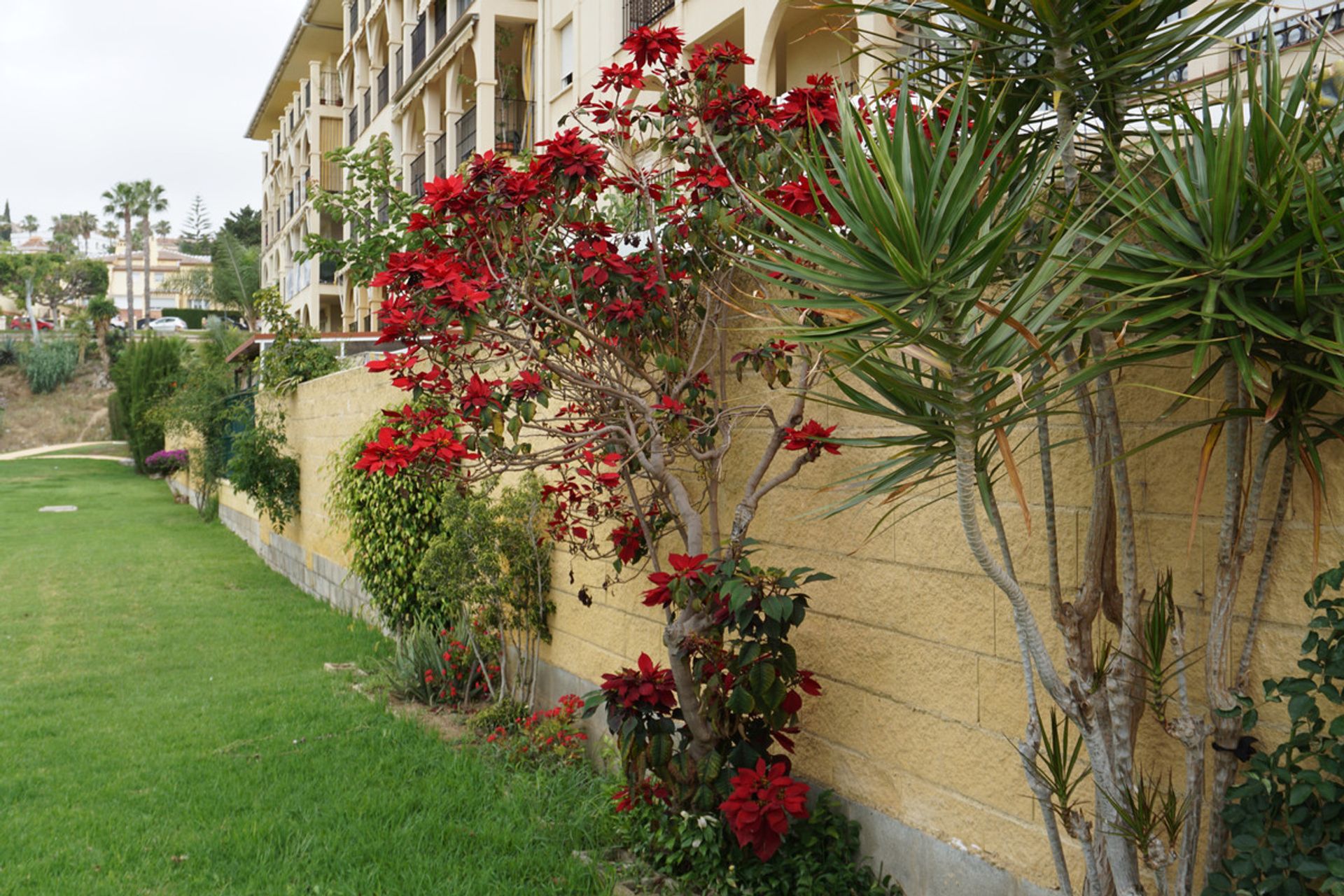 عمارات في Torre del Mar, Andalusia 10720269